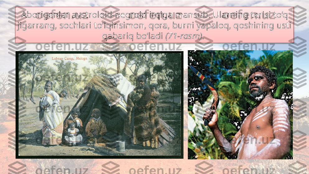 Aborigenlar avstroloid-negroid irqiga mansub. Ularning terisi to‘q 
jigarrang, sochlari to‘lqinsimon, qora, burni yapaloq, qoshining usti 
qabariq bo‘ladi  (71-rasm) .   