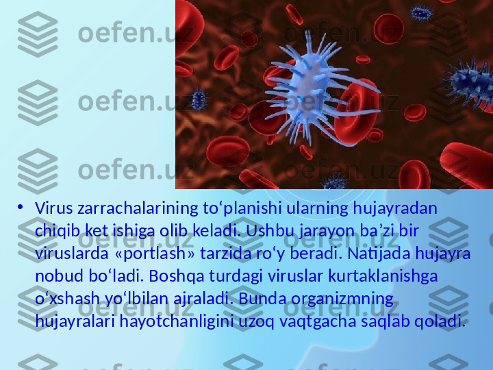 •
Virus zarrachalarining to‘planishi ularning hujayradan 
chiqib ket ishiga olib keladi. Ushbu jarayon ba’zi bir 
viruslarda «portlash» tarzida ro‘y beradi. Natijada hujayra 
nobud bo‘ladi. Boshqa turdagi viruslar kurtaklanishga 
o‘xshash yo‘lbilan ajraladi. Bunda organizmning 
hujayralari hayotchanligini uzoq vaqtgacha saqlab qoladi. 