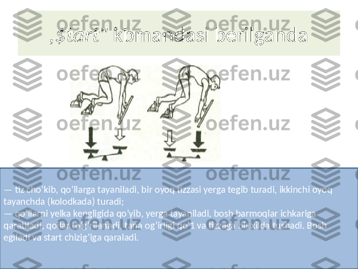 ,$tart"  kbmandasi berilganda
—  tiz cho’kib, qo’llarga tayaniladi, bir oyoq tizzasi yerga tegib turadi, ikkinchi oyoq 
tayanchda (kolodkada) turadi;
—  qo’llarni yelka kengligida qo’yib, yerga tayaniladi, bosh barmoqlar ichkariga 
qaratiladi, qoilar to’g’rilanadi, tana og’irligi qo'1 va tizzaga bir xilda tushadi. Bosh 
egiladi va start chizig’iga qaraladi. 