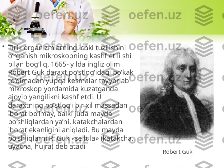 •
Tirik organizmlarning ichki tuzilishini 
o‘rganish mikroskopning kashf etili shi 
bilan bog‘liq. 1665- yilda ingliz olimi 
Robert Guk daraxt po‘stlog‘idagi po‘kak 
to‘qimadan yupqa kesmalar tayyorlab 
mikroskop yordamida kuzatganda 
ajoyib yangilikni kashf etdi. U 
daraxtning po‘stlog‘i bir xil massadan 
iborat bo‘lmay, balki juda mayda 
bo‘shliqlardan ya’ni, katakchalardan 
iborat ekanligini aniqladi. Bu mayda 
bo‘shliqlarni R. Guk «sellula» (katakcha, 
uyacha, hujra) deb atadi
Robert Guk 