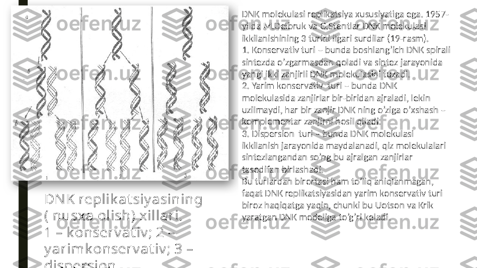 DNK replik at siy asining 
( nus х a  о lish)  х illari.
1 – k о ns е rv at iv ; 2 – 
y arimk о ns е rv at iv ; 3 – 
disp е rsi о n.  DNK m о l е kulasi replikatsiya  х ususiyatiga ega. 1957-
yilda M.D е lbruk va G.St е ntlar DNK m о l е kulasi 
ikkilanishining 3 turini ilgari surdilar (19-r а sm).
1. K о ns е rvativ turi – bunda b о shlang’ich DNK spirali 
sint е zda o’zgarmasdan q о ladi va sint е z jarayonida 
yangi ikki zanjirli DNK m о l е kulasini tuzadi.
2. Yarim k о ns е rvativ  turi – bunda DNK 
m о l е kulasida zanjirlar bir-biridan ajraladi, l е kin 
uzilmaydi, har bir zanjir DNK ning o’ziga o’ х shash – 
k о mpl е m е ntar zanjirni h о sil qiladi.
3. Disp е rsi о n  turi – bunda DNK m о l е kulasi 
ikkilanish jarayonida maydalanadi, qiz m о l е kulalari 
sint е zlangandan so’ng bu ajralgan zanjirlar 
tas о difan birlashadi.
Bu turlardan bir о rtasi ham to’liq aniqlanmagan, 
faqat DNK replikatsiyasidan yarim k о ns е rvativ turi 
bir о z haqiqatga yaqin, chunki bu U о ts о n v а  Krik 
yaratgan DNK m о d е liga to’g’ri k е ladi.  