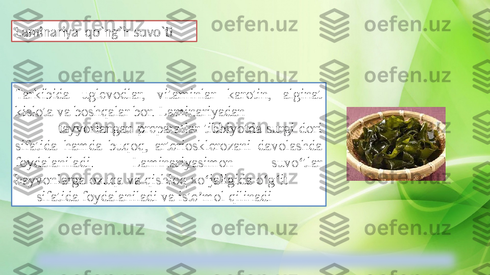 Tarkibida  uglevodlar,  vitaminlar  karotin,  alginat 
kislota va boshqalar bor. Laminariyadan                      
                    tayyorlangan  preparatlar  tibbiyotda  surgi  dori 
sifatida  hamda  buqoq,  arteriosklerozani  davolashda 
foydalaniladi.  Laminariyasimon  suvo tlar ʻ
hayvonlarga ozuqa va qishloq xo jaligida o g it          	
ʻ ʻ ʻ
      sifatida foydalaniladi va iste mol qilinadi	
ʼLaminariya  qo`ng`ir suvo`ti  