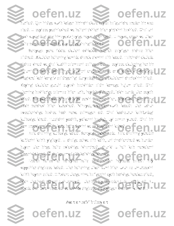 buriladi. Qon hidiga suzib kelgan birinchi akula paydo bo'lgunicha oradan bir soat
o'tadi. U qayiqqa yaqinlashadi va baliqni tishlari bilan yirtishni boshladi. Chol uni
bosh suyagidagi eng himoyasiz joyiga nayza bilan uradi. U nayza, arqon va ulkan
baliq parchalarini sudrab, suv tubiga sho'ng'ib ketadi.
Santyago   yana   ikkita   akulani   eshkakka   bog'lab   qo'yilgan   pichoq   bilan
o'ldiradi. Akulalar baliqning kamida chorak qismini olib ketadi. To'rtinchi akulada
pichoq sinadi va chol kuchli to'qmoqni qo'liga oladi. U qayiqqa akulaning har bir
hujumi   bir   parcha   uzib   olingan   go'shtni   anglatishini   va   endi   baliq   qoni   dengizda
magistral kabi keng iz qoldirganligi dunyodagi barcha akulalarni chorlashini biladi.
Keyingi   akulalar   guruhi   quyosh   botishidan   oldin   kemaga   hujum   qiladi.   Chol
ularning   boshlariga   to'qmoq   bilan   urib,   haydab   yuboradi,   lekin   tunda   ular   qaytib
keladi.   Santyago   avval   yirtqichlarga   qarshi   to'qmoq   bilan,   keyin   esa   rumpelning
o'tkir   parchasi   bilan   kurashadi.   Nihoyat,   akulalar   suzib   ketadi:   ular   uchun
ovqatlanishga   boshqa   hech   narsa   qolmagan   edi.   Chol   kechqurun   ko'rfazdagi
kulbasiga   kiradi.   Tutqichni   yechib,   yelkanni   bog'lab,   uyi   tomon   yuradi.   Chol   bir
zum orqasiga o'girilib, katta baliq dumini va oq suzgichini ko'radi.
Bola cholning kulbasiga keladi. Santyago uxlamoqda. Bola cholning yarador
kaftlarini ko'rib yig'laydi. U cholga qahva olib kelib, uni tinchlantiradi va bundan
buyon   ular   birga   baliq   ovlashiga   ishontiradi,   chunki   u   hali   ko'p   narsalarni
o'rganishi kerak. U cholga omad olib kelishiga ishonadi.
Ertalab   baliqchilar   bahaybat   baliq   qoldiqlaridan   hayratda   qoladi.   Boy
sayyohlar   qirg'oqqa  keladi.  Ular   baliqning ulkan  dumi  bilan  uzun oq  umurtqasini
ko'rib hayron qoladi. Ofitsiant ularga nima bo lganini aytib berishga harakat qiladi,ʻ
lekin ular hech narsani  tushunmaydi  - ular bunday hayotdan juda uzoqda edi. Bu
paytda chol uxlamoqda edi va tushida qirg'oqqa chiqayotgan sherlarni ko'rardi...
Asardan ba'zi iqtiboslar: 