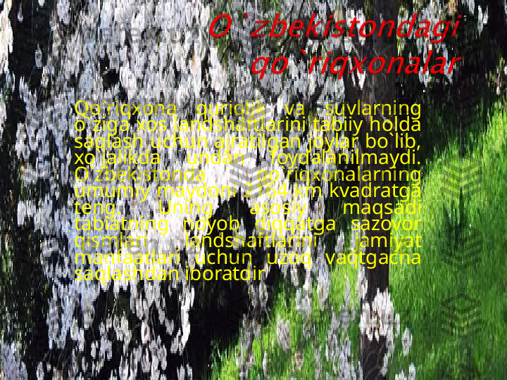 Qo`riqxona  quriqlik  va   suvlarning 
o ` ziga xos landshaftlarini tabiiy holda 
saqlash uchun ajratilgan joylar bo`lib, 
xo`jalikda  undan  foydalanilmaydi. 
O`zbekistonda  qo`riqxonalarning 
umumiy maydoni 2164 km kvadratga 
teng.  Uning  asosiy  maqsadi 
tabiatning  noyob  diqqatga  sazovor 
qismlari  landshaftlarini  jamiyat 
manfaatlari  uchun  uzoq  vaqtgacha 
saqlashdan iboratdir  