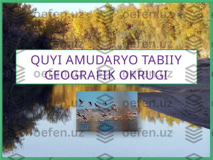 QUY I AMUDARYO TABIIY  
GEOGRAFIK OKRUGI   