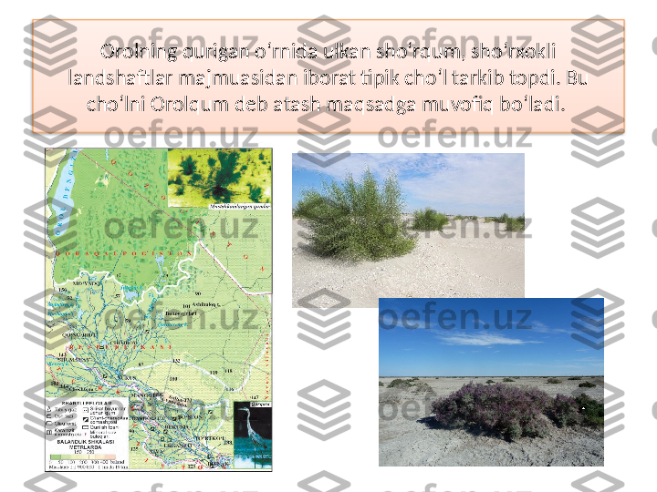 Orolning qurigan o‘rnida ulkan sho‘rqum, sho‘rxokli
landshaftlar majmuasidan iborat ti р ik cho‘l tarkib topdi. Bu 
cho‘lni Orolqum deb atash maqsadga muvofiq bo‘ladi. 
   