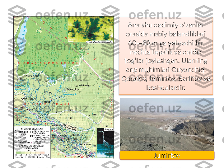 Ana shu qadimiy o‘zanlar 
orasida nisbiy balandliklari 
60—80 m ga yetuvchi bir 
nechta tepalik va qoldiq 
tog‘lar joylashgan. Ularning 
eng muhimlari Quyonchiq, 
Qoratov, Jumirtov, Barlitov va 
boshqalardir.
Jumirtov   