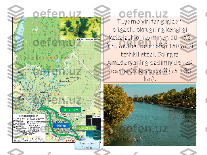 Т uyamo‘yin tangligidan 
o‘tgach, okrugning kengligi 
kattalashib, taxminan 10—12 
km, mutlaq balandligi 150 m ni 
tashkil etadi. So‘ngra 
Amudaryoning qadimiy deltasi 
boshlanib, kengayadi (75—80 
km).
10-12 km
Tuyamo‘yin 
tangligi70-75 km
150 m       