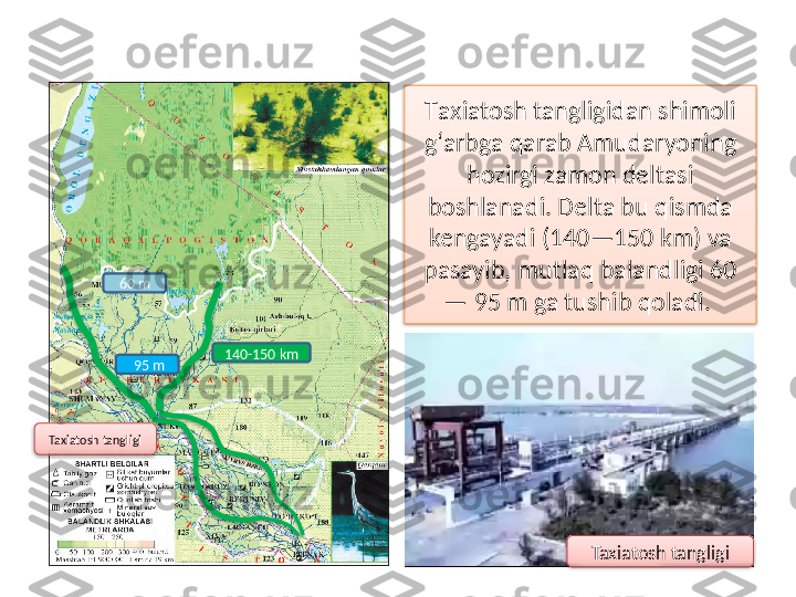 Т axiatosh tangligidan shimoli 
g‘arbga qarab Amudaryoning 
hozirgi zamon deltasi 
boshlanadi. Delta bu qismda 
kengayadi (140—150 km) va 
pasayib, mutlaq balandligi 60 
— 95 m ga tushib qoladi. 
Taxiatosh tangligi 140-150 km60 m
  95 m
Taxiatosh tangligi          