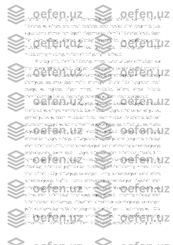 to‘g‘ridan-to‘g‘ri   bog‘liq,   ya’ni   transpirasiya   kuchi   ta’sirida   suvning   o‘simlik
ildizlariga   va   so‘ngra   tana   orqali   barglarga   qarab   harakat   qilish   jarayonida   juda
suyuq tuproq eritmasi ham deyarli o‘zgarmasdan o‘simlik ildizlariga kiradi, degan
fikr   hukm   so‘rgan.   Keyingi   yillardagi   tekshirishlar,   bu   jarayonning   ancha
murakkab   ekanligini   va   o‘simlikka   kirib   unda   to‘planayotgan   mineral
moddalarning miqdoriga mo‘tanosib bo‘lganligini ko‘rsatdi.
Shunday   qilib,   o‘simlik   ildizlariga   mineral   tuzlar   uzluksiz   so‘riladigan   suv
bilan   passiv   ravishda   kiradi,   deyilgan   tushunchaning   asossiz   ekanligi   aniqlandi.
Lekin bundan mineral tuzlarning o‘zlashtirilishida transpirasiya oqimi hech qanday
ahamiyatga   ega   emas   degan   ma’no   chiqmaydi.   Chunki   ildiz   hujayralari   orqali
traxeya   va   naylarga   o‘tgan   mineral   moddalar,   ksilema   shirasi   holatida
o‘simliklarninng boshqa organlariga transpirasiya kuchi orqali taqsimlanadi.
Mineral   elementlarning   hujayraga   yutilishi   dastavval   hujayra   po‘stidan
boshlanadi   va   so‘ngra   membranada   davom   etadi .  Hujayra   po‘sti   asosan   sellyuloza ,
gemisellyuloza   va   pektin    moddadan   iborat .  Pektin   moddasi   o‘z   tarkibida   karboksil
gruppalarni   saqlaydi   va   kation   almashinuv   xususiyatiga   ega   bo‘ladi .  Bu   esa   musbat
zaryadlangan   moddalarni   to‘plash   sharoitini   yaratadi .   Natijada   ionlar   tuproq
eritmasidan   hujayra   po‘stiga   diffuziyalanadi .   Diffuziyalanish   jarayonida   po‘stdagi
erkin   bo‘shliqlar   to‘lib ,   ionlar   konsentrasiyasi   tashqi   eritmaning   konsentrasiyasiga
tenglashguncha   davom   etadi .   Hujayra   po‘stidagi   erkin   bo‘shliqlar   o‘rtacha   5-10
hajmga   ega   bo‘lib ,   po‘stdagi   molekulalararo ,   plazmalemma   hamda   po‘st
o‘rtasidagi   bo‘shliqlar   yig‘indisidan   iborat .   Erkin   bo‘shliqlarning   mineral   ionlar
bilan   to‘lishi   oddiy   diffuziyaga   asoslangan .   Uning   konsentrasiyasi   tashqi   eritma
konsentrasiyasiga   bog‘liq .   Tuproq   eritmasining   konsentrasiyasi   o‘zgarishi   erkin
bo‘shliqdagi   elementlar   miqdoriga   ham   ta ’ sir   etadi .   Masalan ,   ildizlar   toza   suvga
solinsa   erkin     bo‘shliqdagi   ionlar   suvga   qaytib   chiqadi .   Ionlarning   po‘stdagi   erkin
bo‘shliqlardan   sitoplazmaga   o‘tkazilishi   almashinuv   adsorbsiyasiga   asoslangan .
ya ’ ni   sitoplazmadagi   nafas   olish   jarayonida   hosil   bo‘lgan   H +
  kationlarga   va   HCO
3 -
( OH -
)   yoki   organik   kislotalarning   anionlari   mineral   moddalarning   anionlariga
almashinadi .   Ildizning   suruvchi   qismi   bilan   tuproq   zarrachalari   umumiy   kolloid 