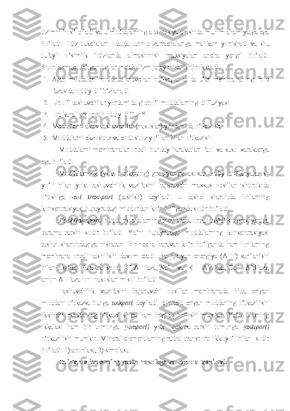 tizimni   hosil   qiladi   va   u   moddalarning   adsorbsiyalanishida   muhim   ahamiyatga   ega
bo‘ladi .   Ildiz   tukchalari   odatda   tuproq   zarrachalariga   mahkam   yopishadi   va   shu
tufayli   o‘simlik   ildizlarida   almashinish   reaksiyalari   ancha   yengil   bo‘ladi .
Sitoplazmaga  o‘tgan ionlar metabolizm jarayonida ishtirok etadi.
1. Agar   moddalar   lipidlarda   eruvchan   bo‘lsa,   u   holda   ular   membrananing   lipid
fazasida oddiy diffo‘zlanadi.
2. Lipofil tashuvchilar yordamida gidrofil moddalarning diffuziyasi.
3. Ion kanallari orqali oddiy diffuziY.
4. Moddalarni aktiv tashuvchilar (nasoslar) yordamida o‘tkazish.
5. Moddalarni ekzositoz va endositoz yo‘llari bilan o‘tkazish. 
Moddalarni  membranalar orqali  bunday harakatlari faol va sust    xarakterga
ega bo‘ladi.
Moddalarning   (yoki   ionlarning)   gradiyentga   asosan   oddiy   diffuziyalanish
yo‘li   bilan   yoki   tashuvchilik   vazifasini   bajaruvchi   maxsus   oqsillar   ishtirokida
o‘tishiga   sust   transport   (tashish)   deyiladi.   U   tashqi   sharoitda   ionlarning
konsentrasiyasi hujayradagi miqdordan ko‘p bo‘lganda sodir bo‘ladi.
Faol transport.  Bunda moddalarning membrana orqali tashilishi gradiyentga
qarama-qarshi   sodir   bo‘ladi.   Ya’ni   hujayradagi   moddalarning   konsentrasiyasi
tashqi   sharoitdagiga   nisbatan     bir   necha   baravar   ko‘p   bo‘lganda   ham   ionlarning
membrana   orqali   tashilishi   davom   etadi.   Bu   jarayon   energiya   (ATF)   sarflanishi
bilan bog‘liq. Faol  transport:  H +
  ATFaza,  Na +
     va   K +
  - ATFaza, Ca +
  - ATFaza,
anion ATFaza ion  nasoslari misol bo‘ladi.
Tashuvchilik   vazifasini   bajaruvchi   oqsillar   membranada   bitta   erigan
moddani o‘tkazsa bunga   unkport   deyiladi. Birinchi erigan moddaning o‘tkazilishi
ikkinchi   moddaning   o‘tkazilishiga   ham   bog‘liq   bo‘lishi   mumkin.   Ya’ni   ularning
ikkalasi   ham   bir   tomonga   (simport)   yoki   qarama-qarshi   tomonga   (antiport)
o‘tkazilishi mumkin. Mineral elementlarning radial transporti ikki yo‘l bilan  sodir
bo‘ladi: 1) apoplast, 2) simplast.
Ildizlarda ionlarning yaqin masofaga  va u zoqqa  tashiluvi.  