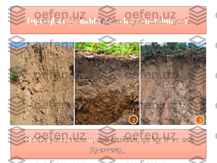 Tuproqlari, o‘simliklari va hayvonot dunyosi. .
Old Osiyoda, asosan,  och kashtan ,  qo‘ng‘ir  va  och 
jigarrang , 1 2
3   