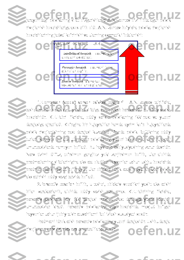 jarayonidagi   psixikaning   sifat   o’zgarishlarini   A.N.Leontev   o’zi   ifodalagan   psixik
rivojlanish bosqichlariga asos qilib oldi. A.N.Leontev bo’yicha psixika rivojlanish
bosqichlarining jadval ko’rinishi va ularning sxematik ifodalanishi:
1. Elementar   (sodda)   sensor   psixika   bosqichi   -   A.N.Leontev   ta'rificha,
tashqi muhit ob'ektning u yoki bu sifatiga qarab javob beraveradi. Bu oddiy sezish
bosqichidir.   K.E.Fabri   fikricha,   oddiy   sensor   psixikaning   ikki-past   va   yuqori
darajasiga   ajratiladi.   Ko’pgina   bir   hujayralilar   hamda   ayrim   ko’p   hujayralilarda
psixik   rivojlanishning   past   darajasi   kuzatiladi.   Bunda   psixik   faollikning   oddiy
turlari   namoyon   bo’ladi.   Elementar   psixikaning   yuqori   bosqichida   ko’p   hujayrali
umurtqasizlarda   namoyon   bo’ladi.   Bu   hayvonot   evolyusiyasining   zarur   davridir.
Nerv   tizimi   diffuz,   to’rsimon   ganglioz   yoki   zanjirsimon   bo’lib,   ular   alohida
predmetlarning   sifatlarinigina   aks   eta   oladilar.   hayvonlar   uchun   ushbu   bosqichda
predmet   olami   mavjud   bo’lmaydi,   ular   ob'ektni   idrok   eta   olmaydilar.   Ular   psixik
aks ettirishi oddiy sezgi tarzida bo’ladi.
2.Perseptiv   bosqich   bo’lib,   u   tashqi,   ob'ektiv   voqelikni   yaxlit   aks   etishi
bilan   xarakterlanib,   alohida   oddiy   sezish   turi   emas.   K.E.Fabrining   fikricha,
perseptiv   psixikani   ham   ikki   darajasi   mavjud.   Past   darajaga   yuqori   darajali
umurtqasizlar   kiradi.   Perseptiv   psixikaning   quyi   bosqichida   mavjud   bo’lgan
hayvonlar uchun ijobiy ta'sir etuvchilarni faol izlash xususiyati xosdir.
Predmetni idrok etish-perseptiv psixikaning yuqori darajasidir. Ushbu daraja
rivojlangan nerv tizimiga ega umurtqalilarga xosdir. ASOSIY BOSQIC HLAR
  III
  II
   I    intellektual bos q ich  –  predmet-lararo 
alo q alarni aks ettiradi.
Perseptiv bosqich  – predmetni  idrok 
etish bilan bo g’ li q.
Sensor bosqich – elementar 
sezuvchanlik bilan belgilanadi 