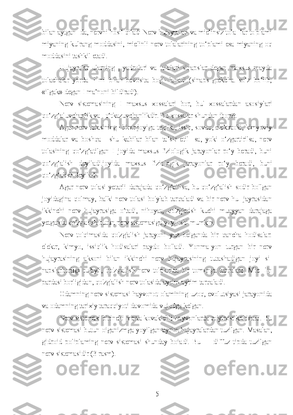 bilan aytgan- da, nervni hosil qiladi Nerv hujayralari va mielinsiz tola- lar to'plami
miyaning  kulrang  moddasini,   mielinli  nerv  tolalarining  to‘plami  esa   miyaning  oq
moddasini tashkil etadi.
Hujayralar   ularning   |   yadrolari   va   tolalari   sinapslar   degan   maxsus   mayda
tolachalar   yorda-   |   mi   bilan   bevosita   bog'-   lanadi   (sinaps   grekcha.   so‘z   bo‘lib,
«ilgak» degan I ma’noni bildiradi).
Nerv   sistemasining   I   maxsus   xossalari   bor,   bu'   xossalardan   asosiylari
qo‘zg‘aluvchanlik va | o‘tkazuvchanlikdir. Bu xossalar shundan iborat.
Agar nerv tolasining | biror joyiga tegilsa, issiq, sovuq, elektrtoki, kimyoviy
moddalar   va   boshqa   |   shu   kabilar   bilan   ta’sir   etil-   sa,   yoki   o‘zgartirilsa,   nerv
tolasining   qo‘zg‘atilgan   I   joyida   maxsus   fiziologik   jarayonlar   ro‘y   beradi,   buni
qo‘zg‘alish   deyiladi.joyida   maxsus   fiziologik   jarayonlar   ro‘y   beradi,   buni
qo‘zg‘alish deyiladi.
Agar   nerv   tolasi   yetarli   darajada   qo‘zg‘atilsa,   bu   qo‘zg‘alish   sodir   bo'lgan
joyidagina   qolmay,   balki   nerv   tolasi   bo'ylab   tarqaladi   va   bir   nerv   hu-   jayrasidan
ikkinchi   nerv   hujayrasiga   o‘tadi,   nihoyat,   qo'zg'atish   kuchi   muayyan   darajaga
yetganda qo'zg'alish butun nerv sistemasiga yoyilishi mumkin.
Nerv   to'qimasida   qo'zg'alish   jarayoni   yuz   beiganda   bir   qancha   hodisalar:
elektr,   kimyo,   issiqlik   hodisalari   paydo   bo'ladi.   Yonma-yon   turgan   bir   nerv
hujayrasining   aksoni   bilan   ikkinchi   nerv   hujayrasining   tutashadigan   joyi   si-
napslarborligi   tufayli,   qo'zg'alish   nerv   tolalarida   bir   tomonga   tarqaladi.   Mie-   lin
pardasi borligidan, qo'zg'alish nerv tolasida ayrim-ayrim tarqaladi.
Odamning nerv sistemasi hayvonot olamining uzoq, evolutsiyasi jarayonida
va odamning tarixiy taraqqiyoti davomida vujudga kelgan.
Nerv sistemasi birinchi marta kovakichli hayvonlarda ro'yirost ko'rinadi. Bu
nerv sistemasi butun oiganizmga yoyilgan ayrim hujayralardan tuzilgan. Masalan,
gidroid   poliplaming   nerv   sistemasi   shunday   boiadi.   Bu   —   diffuz   tipda   tuzilgan
nerv sistemasidir (3-rasm).
5 