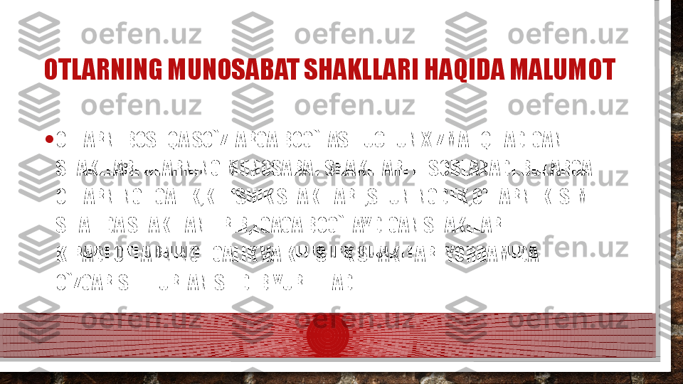 OTLARNING MUNOSABAT SHAKLLARI HAQIDA MALUMOT
• OTLARNI BOSHQA SO`ZLARGA BOG`LASH UCHUN XIZMAT QILADIGAN 
SHAKLLARI ULARNING MUNOSABAT SHAKLLARI HISOBLANADI.BULARGA 
OTLARNING EGALIK,KELISHIK SHAKLLARI ,SHUNINGDEK,OTLARNI KESIM 
SIFATIDA SHAKLLANTIRIB,EGAGA BOG`LAYDIGAN SHAKLLAR  
KIRADI.OTLARNING EGALIK VA KELISHIK SHAKLLARI YORDAMIDA 
O`ZGARISHI TURLANISH DEB YURITILADI.  