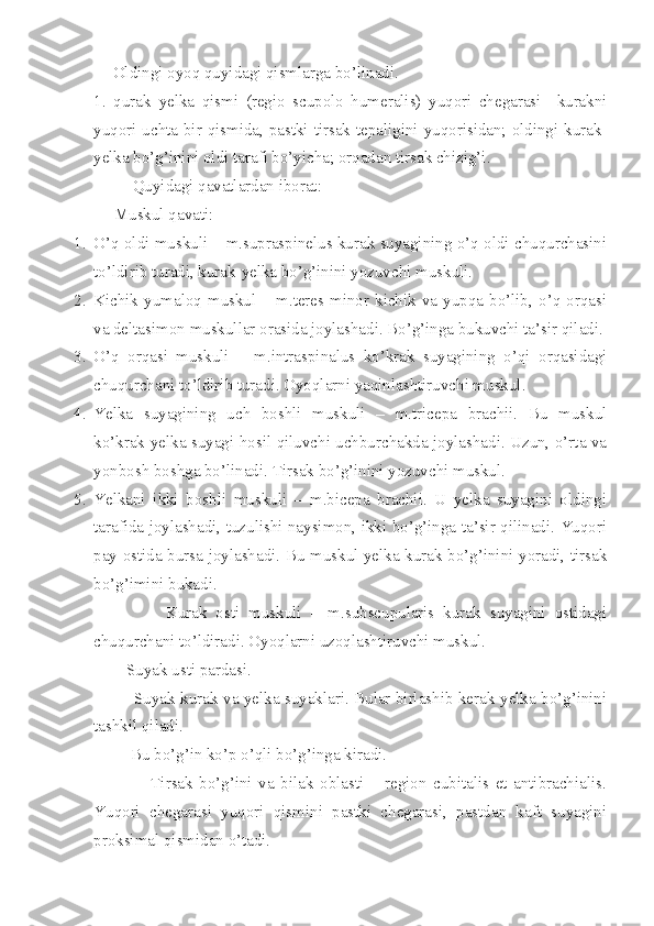 Oldingi oyoq quyidagi qismlarga bo’linadi.
1.   qurak–yelka   qismi   (regio   scupolo   humeralis)   yuqori   chegarasi   –kurakni
yuqori uchta bir qismida, pastki-tirsak tepaligini yuqorisidan; oldingi kurak-
yelka bo’g’inini oldi tarafi bo’yicha; orqadan tirsak chizig’i.
Quyidagi qavatlardan iborat:
     Muskul qavati: 
1. O’q oldi muskuli – m.supraspinelus kurak suyagining o’q oldi chuqurchasini
to’ldirib turadi, kurak-yelka bo’g’inini yozuvchi muskuli.
2. Kichik  yumaloq  muskul  –  m.teres  minor  kichik  va  yupqa  bo’lib,  o’q  orqasi
va deltasimon muskullar orasida joylashadi. Bo’g’inga bukuvchi ta’sir qiladi.
3. O’q   orqasi   muskuli   –   m.intraspinalus   ko’krak   suyagining   o’qi   orqasidagi
chuqurchani to’ldirib turadi. Oyoqlarni yaqinlashtiruvchi muskul.
4. Yelka   suyagining   uch   boshli   muskuli   –   m.tricepa   brachii.   Bu   muskul
ko’krak-yelka suyagi hosil qiluvchi uchburchakda joylashadi. Uzun, o’rta va
yonbosh boshga bo’linadi. Tirsak bo’g’inini yozuvchi muskul.
5. Yelkani   ikki   boshli   muskuli   –   m.bicepa   brachii.   U   yelka   suyagini   oldingi
tarafida joylashadi, tuzulishi naysimon, ikki bo’g’inga ta’sir qilinadi. Yuqori
pay ostida bursa joylashadi. Bu muskul yelka-kurak bo’g’inini yoradi, tirsak
bo’g’imini bukadi.
                Kurak   osti   muskuli   –   m.subscupularis   kurak   suyagini   ostidagi
chuqurchani to’ldiradi. Oyoqlarni uzoqlashtiruvchi muskul.
        Suyak usti pardasi.
               Suyak-kurak va yelka suyaklari. Bular birlashib kerak-yelka bo’g’inini
tashkil qiladi.
         Bu bo’g’in ko’p o’qli bo’g’inga kiradi.
                  Tirsak   bo’g’ini   va   bilak   oblasti   –   region   cubitalis   et   antibrachialis.
Yuqori   chegarasi   yuqori   qismini   pastki   chegarasi,   pastdan   kaft   suyagini
proksimal qismidan o’tadi. 