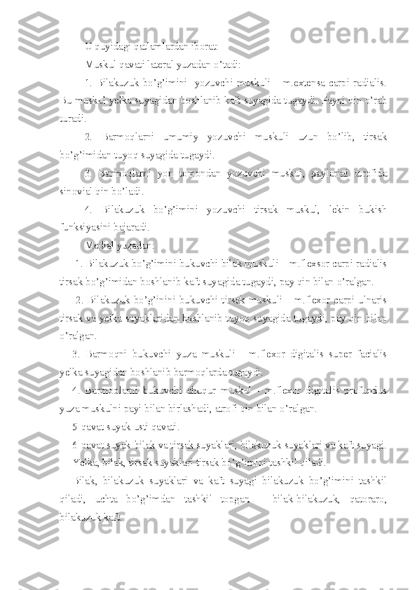 U quyidagi qatlamlardan iborat:
Muskul qavati lateral yuzadan o’tadi:
1. Bilakuzuk bo’g’imini   yozuvchi muskuli – m.extensa carpi radialis.
Bu muskul yelka suyagidan boshlanib kaft suyagida tugaydi. Payni qin o’rab
turadi.
2.   Barmoqlarni   umumiy   yozuvchi   muskuli   uzun   bo’lib,   tirsak
bo’g’imidan tuyoq suyagida tugaydi.
3.   Barmoqlarni   yon   tomondan   yozuvchi   muskul,   paylarini   atrofida
sinovial qin bo’ladi.
4.   Bilakuzuk   bo’g’imini   yozuvchi   tirsak   muskul,   lekin   bukish
funksiyasini bajaradi.
Medial yuzadan:
 1. Bilakuzuk bo’g’imini bukuvchi bilak muskuli – m.flexsor carpi radialis
tirsak bo’g’imidan boshlanib kaft suyagida tugaydi, pay qin bilan o’ralgan.
  2. Bilakuzuk bo’g’inini bukuvchi tirsak muskuli – m.flexor carpi ulnaris
tirsak va yelka suyaklaridan boshlanib tuyoq suyagida tugaydi, pay qin bilan
o’ralgan.
3.   Barmoqni   bukuvchi   yuza   muskuli   -   m.flexor   digitalis   super   facialis
yelka suyagidan boshlanib barmoqlarda tugaydi.
4.   Barmoqlarni   bukuvchi   chuqur   muskul   -   m.flexor   digitalis   profundus
yuza muskulni payi bilan birlashadi, atrofi qin bilan o’ralgan.
5-qavat suyak usti qavati.
6-qavat suyak-bilak va tirsak suyaklari, bilakuzuk suyaklari va kaft suyagi.
Yelka, bilak, tirsak suyaklari tirsak bo’g’imini tashkil qiladi.
Bilak,   bilakuzuk   suyaklari   va   kaft   suyagi   bilakuzuk   bo’g’imini   tashkil
qiladi,   uchta   bo’g’imdan   tashkil   topgan   –   bilak-bilakuzuk,   qatoraro,
bilakuzuk kaft. 