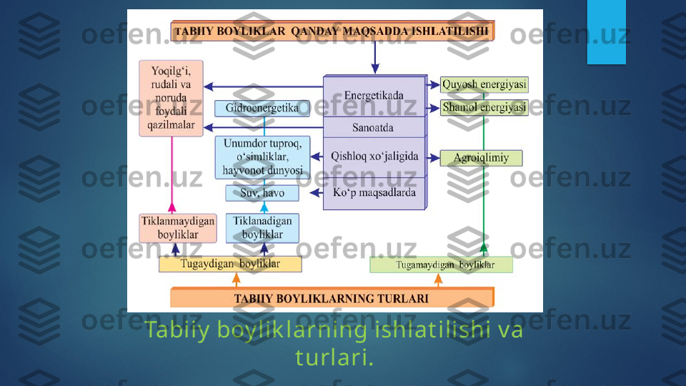 Tabiiy  boy lik larning ishlat ilishi v a 
t urlari.   