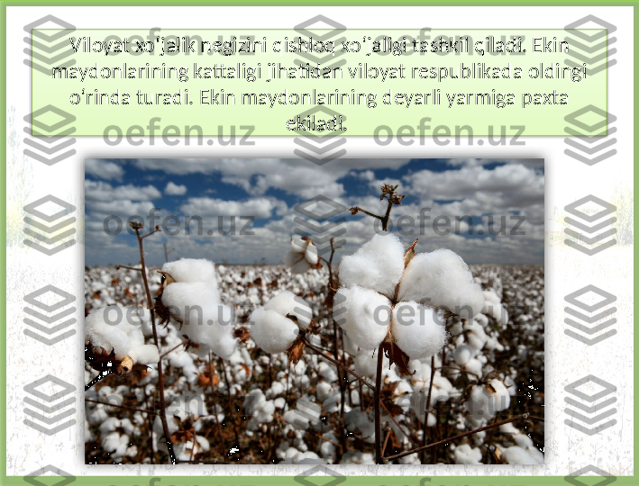 Viloyat xo‘jalik negizini qishloq xo‘jaligi tashkil qiladi. Ekin 
maydonlarining kattaligi jihatidan viloyat respublikada oldingi 
o‘rinda turadi. Ekin maydonlarining deyarli yarmiga paxta 
ekiladi.     