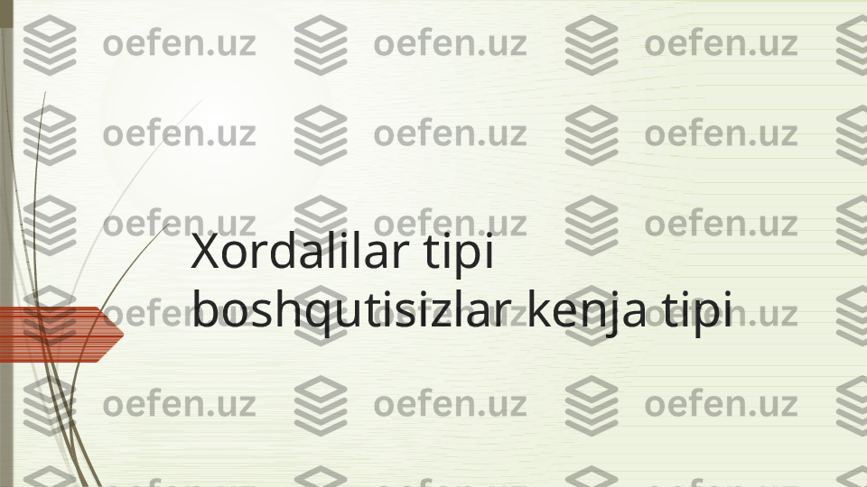 Xordalilar tipi 
boshqutisizlar kenja tipi              