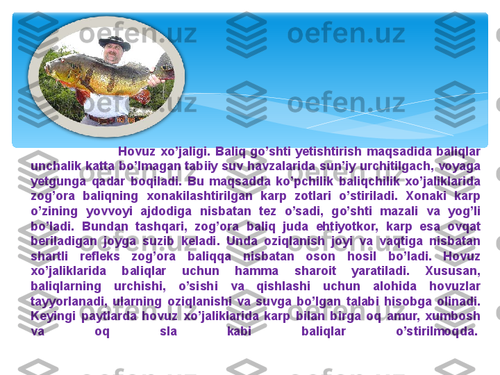                                       Hovuz  xo’jaligi.  Baliq  go’shti  yetishtirish  maqsadida  baliqlar 
unchalik katta bo’lmagan tabiiy suv havzalarida sun’iy urchitilgach, voyaga 
yetgunga  qadar  boqiladi.  Bu  maqsadda  ko’pchilik  baliqchilik  xo’jaliklarida 
zog’ora  baliqning  xonakilashtirilgan  karp  zotlari  o’stiriladi.  Xonaki  karp 
o’zining  yovvoyi  ajdodiga  nisbatan  tez  o’sadi,  go’shti  mazali  va  yog’li 
bo’ladi.  Bundan  tashqari,  zog’ora  baliq  juda  ehtiyotkor,  karp  esa  ovqat 
beriladigan  joyga  suzib  keladi.  Unda  oziqlanish  joyi  va  vaqtiga  nisbatan 
shartli  refleks  zog’ora  baliqqa  nisbatan  oson  hosil  bo’ladi.  Hovuz 
xo’jaliklarida  baliqlar  uchun  hamma  sharoit  yaratiladi.  Xususan, 
baliqlarning  urchishi,  o’sishi  va  qishlashi  uchun  alohida  hovuzlar 
tayyorlanadi,  ularning  oziqlanishi  va  suvga  bo’lgan  talabi  hisobga  olinadi. 
Keyingi  paytlarda  hovuz  xo’jaliklarida  karp  bilan  birga  oq  amur,  xumbosh 
va  oq  sla  kabi  baliqlar  o’stirilmoqda.    