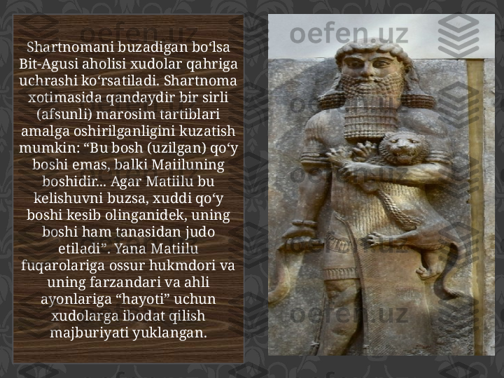 Shartnomani buzadigan bo‘lsa 
Bit-Agusi aholisi xudolar qahriga 
uchrashi ko‘rsatiladi. Shartnoma 
xotimasida qandaydir bir sirli 
(afsunli) marosim tartiblari 
amalga oshirilganligini kuzatish 
mumkin: “Bu bosh (uzilgan) qo‘y 
boshi emas, balki Maiiluning 
boshidir... Agar Matiilu bu 
kelishuvni buzsa, xuddi qo‘y 
boshi kesib olinganidek, uning 
boshi ham tanasidan judo 
etiladi”. Yana Matiilu 
fuqarolariga ossur hukmdori va 
uning farzandari va ahli 
ayonlariga “hayoti” uchun 
xudolarga ibodat qilish 
majburiyati yuklangan. 