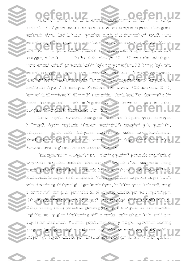 Kasallikni   birinchi   kunlarida   xarorati   odatda   normal   bo‘ladi,   4   –   6   kunga
borib 41 – 41,7 gacha tezlik bilan kutariladi va shu darajada hayvoni o‘limigacha
saqlanadi.Isitma   davrida   burun   oynachasi   qurib,   o‘ta   chanqoqlikni   sezadi.   Tana
xaroratining   ko‘tarilishida   qon-tomir   tizimi   tamonidan   buzilish   kuzatiladi.   YUrak
urishi   90   –  110   gacha   kutarilib,   turtkisi   kuchayadi,   kasallik   og‘ir   kechganda   puls
susaygan,   aritmik.               Nafas   olish   minutiga   40   –   50   marotaba   tezlashgan.
Tana xarorati ko‘tarilgan vaqtda keskin leykopeniya rivojlanadi 3-2 mng. leykotsit,
xarorat   pasayganda   leykotsitozga   almashadi.   Leykotsitar   formula   uzgaruvchan,
kasallikni birinchi kunlarida neytrofillar protsenti ko‘paygan, eozinofillar yuqoladi,
limfotsitlar   foyizi   7-15  kamayadi.  Kasallikni   utkir   davrida  SOE   tezlashadi  20-30,
kam xolda 60 mm/s va 70-80 mm 24 soat ichida.  Itlarda kasallikni davomiyligi bir
necha   kundan   ikki   –   uch   xaftagacha.   CHuqur   kamatoz     xolatda   tashqi
quzg‘atuvchilarga etibor bermasdan ular o‘ladi.
Itlarda   gepatit   surunkali   kechganda   kasallikni   belgilari   yaqol   namoyon
bo‘lmaydi.   Ayrim   paytlarda   ishtaxani   vaqtinchalik   pasayishi   yoki   yuqolishi,
oshqozon   –   ichak   trakti   faoliyatini   buzulishi   va   keskin   ozish   kuzatilinadi.
Kasallikni   surunkali   kechganda   tana   xarorati   qisqa   mudatga   ko‘tarilishi   mumkin.
Surunkali kasal urg‘ochi itlar bola tashlashi mumkin.
Patalogoanatomik   uzgarishlar .     Itlarning   yuqimli   gepatitda   organlardagi
uzgarishlar   kasallikni   kechishi   bilan   bog‘liq.   Kasallik   o‘tkir   kechganda   itning
jasadi   qoniqarli   semizlikda.   Ochganda   buqoq   va   oshqozon   osti   bezi   atrofidagi
klechatkada tarqalgan shish aniqlanadi. YUqumli gepatitni uziga xos belgisi bu o‘t
xalta devorining shishganligi. Jigar  kattalashgan, bo‘laklari  yaqol ko‘rinadi, rangi
qoramtir-qizil, qonga  to‘lgan.Taloq 50 % xollarda kattalashgan  va qonga to‘lgan.
Oshqozonda   qoramtir-jigar   yoki   deyarli   qora   rangdagi   shilliq   suyuqlik   bo‘ladi.
Oshqozonning   shilliq   pardasida   gemoragiyalar   yoki   eroziyalar   bo‘lishi   mumkin.
Ingichka   va     yug‘on   ichaklarning   shilliq   pardasi   qalinlashgan   ko‘p   sonli   qon
quyilishlar   aniqlanadi.   YUqimli   gepatitning   doimiy   belgisi-   ayrisimon   bezning
qonga   to‘lganligi,   undagi   nuqtali   qon   quyilishlar   va   atrofi   quyuq   shilliq   bilan
uralganligi. Buyrak kattalashgan kapsulasi taranglashgan va osonlik bilan ajraladi. 