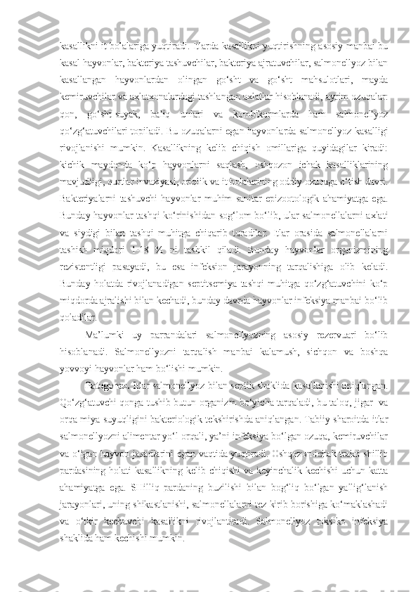 kasallikni it bolalariga yuqtiradi. Itlarda kasallikni yuqtirishning asosiy manbai bu
kasal hayvonlar, bakteriya tashuvchilar, bakteriya ajratuvchilar, salmonellyoz bilan
kasallangan   hayvonlardan   olingan   go‘sht   va   go‘sht   mahsulotlari,   mayda
kemiruvchilar va axlatxonalardagi tashlangan axlatlar hisoblanadi, ayrim ozuqalar:
qon,   go‘sht-suyak,   baliq   unlari   va   kombikormlarda   ham   salmonellyoz
qo‘zg‘atuvchilari topiladi. Bu ozuqalarni egan hayvonlarda salmonellyoz kasalligi
rivojlanishi   mumkin.   Kasallikning   kelib   chiqish   omillariga   quyidagilar   kiradi:
kichik   maydonda   ko‘p   hayvonlarni   saqlash,   oshqozon   ichak   kasalliklarining
mavjudligi, qurtlar invaziyasi, oriqlik va it bolalarining oddiy ozuqaga o‘tish davri.
Bakteriyalarni   tashuvchi   hayvonlar   muhim   sanitar-epizootologik   ahamiyatga   ega.
Bunday hayvonlar tashqi  ko‘rinishidan sog‘lom bo‘lib, ular salmonellalarni axlati
va   siydigi   bilan   tashqi   muhitga   chiqarib   turadilar.   Itlar   orasida   salmonellalarni
tashish   miqdori   1-18   %   ni   tashkil   qiladi.   Bunday   hayvonlar   organizmining
rezistentligi   pasayadi,   bu   esa   infeksion   jarayonning   tarqalishiga   olib   keladi.
Bunday   holatda   rivojlanadigan   septitsemiya   tashqi   muhitga   qo‘zg‘atuvchini   ko‘p
miqdorda ajralishi bilan kechadi, bunday davrda hayvonlar infeksiya manbai bo‘lib
qoladilar.
Ma’lumki   uy   parrandalari   salmonellyozning   asosiy   rezervuari   bo‘lib
hisoblanadi.   Salmonellyozni   tarqalish   manbai   kalamush,   sichqon   va   boshqa
yovvoyi hayvonlar ham bo‘lishi mumkin.
Patogenez.   Itlar salmonellyoz bilan septik shaklida kasallanishi aniqlangan .
Qo‘zg‘atuvchi qonga tushib butun organizm bo‘yicha tarqaladi, bu taloq, jigar   va
orqa miya suyuqligini bakteriologik tekshirishda aniqlangan. Tabiiy sharoitda itlar
salmonellyozni alimentar yo‘l orqali, ya’ni infeksiya bo‘lgan ozuqa, kemiruvchilar
va o‘lgan hayvon jasadlarini egan vaqtida yuqtiradi. Oshqozon-ichak trakti shilliq
pardasining holati kasallikning kelib chiqishi  va keyinchalik kechishi uchun katta
ahamiyatga   ega.   SHilliq   pardaning   buzilishi   bilan   bog‘liq   bo‘lgan   yallig‘lanish
jarayonlari, uning shikastlanishi, salmonellalarni tez kirib borishiga ko‘maklashadi
va   o‘tkir   kechuvchi   kasallikni   rivojlantiradi.   Salmonellyoz   toksiko   infeksiya
shaklida ham kechishi mumkin.  