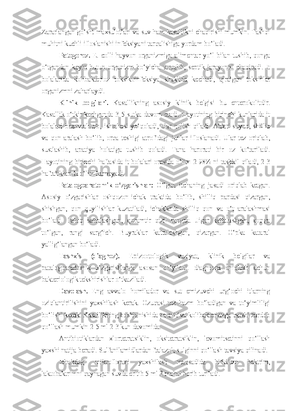 Zararlangan go‘sht maxsulotlari va suv ham kasallikni chaqirishi mumkin. Tashqi
muhitni kuchli ifloslanishi infeksiyani tarqalishiga yordam bo‘ladi.
Patogenez.   E. colli   hayvon organizmiga  alimentar   yo‘l   bilan tushib,  qonga
o‘tgandan   keyin   butun   organizm   bo‘yicha   tarqalib,   septik   jarayonni   chaqiradi.   It
bolalarida   kolibakterioz   toksikoinfeksiya   shaklida   kechadi,   ajralgan   toksinlar
organizmni zaharlaydi.
Klinik   belgilari.   Kasallikning   asosiy   klinik   belgisi   bu   enterokolitdir.
Kasallik o‘tkir kechganda 3-5 sutka davom etadi. Hayotining birinchi kunlarida it
bolalari   bezovtalanib,   ishtahasi   yo‘qoladi,   ular   nolish   qiladi.   Ahlati   suyuq,   shilliq
va   qon   aralash   bo‘lib,   orqa   teshigi   atrofidagi   junlar   ifloslanadi.   Ular   tez   oriqlab,
sustlashib,   apatiya   holatiga   tushib   qoladi.   Tana   harorati   bir   oz   ko‘tariladi.
Hayotining birinchi haftasida it bolalari orasida o‘lim 2-98% ni tashkil qiladi, 2-3
haftaliklarida o‘lim kamayadi.
Patalogoanatomik   o‘zgarishlar:   O‘lgan   itchaning   jasadi   oriqlab   ketgan.
Asosiy   o‘zgarishlar   oshqozon-ichak   traktida   bo‘lib,   shilliq   pardasi   qizargan,
shishgan,   qon   quyilishlar   kuzatiladi,   ichaklarda   shilliq   qon   va   o‘t   aralashmasi
bo‘ladi.   Taloq   kattalashgan,   qoramtir   qizil   rangda.   Jigar   kattalashgan,   qonga
to‘lgan,   rangi   sarg‘ich.   Buyraklar   kattalashgan,   qizargan.   O‘pka   kataral
yallig‘langan bo‘ladi.
Tashxis   (diagnoz).   Epizootologik   vaziyat,   klinik   belgilar   va
patalogoanatomik   o‘zgarishlarga   asosan   qo‘yiladi.   diagnozni   aniqlash   uchun
bakteriologik tekshirishlar o‘tkaziladi.
Davolash.   Eng   avvalo   homilador   va   sut   emizuvchi   urg‘ochi   itlarning
oziqlantirilishini   yaxshilash   kerak.   Ozuqasi   tez   hazm   bo‘ladigan   va   to‘yimliligi
bo‘lishi kerak. Kasallikning boshlanishida paratif va kolibakteriozga qarshi zardob
qo‘llash mumkin 2-5 ml 2-3 kun davomida.
Antibiotiklardan   xlortetratsiklin,   oksitetratsiklin,   levomitsetinni   qo‘llash
yaxshi natija beradi. Sulfanilamidlardan ftalazol, sulginni qo‘llash tavsiya qilinadi.
Ichakdagi   mikroflorani   yaxshilash   maqsadida   bifidium   baktrim,
laktobaktrimni qaynagan suvda eritib 5 ml 3 mahal berib turiladi. 