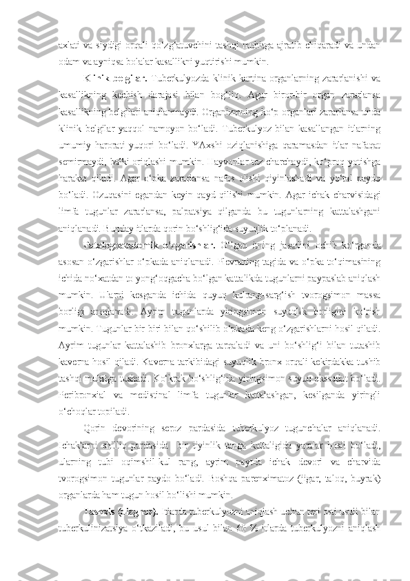 axlati  va siydigi  orqali  qo‘zg‘atuvchini  tashqi  muhitga ajratib chiqaradi  va undan
odam va ayniqsa bolalar kasallikni yuqtirishi mumkin.
Klinik   belgilar.   Tuberkulyozda   klinik   kartina   organlarning   zararlanishi   va
kasallikning   kechish   darajasi   bilan   bog‘liq.   Agar   biror-bir   organ   zararlansa
kasallikning belgilari aniqlanmaydi. Organizmning ko‘p organlari zararlansa unda
klinik   belgilar   yaqqol   namoyon   bo‘ladi.   Tuberkulyoz   bilan   kasallangan   itlarning
umumiy   harorati   yuqori   bo‘ladi.   YAxshi   oziqlanishiga   qaramasdan   itlar   nafaqat
semirmaydi, balki  oriqlashi  mumkin. Hayvonlar tez charchaydi, ko‘proq yotishga
harakat   qiladi.   Agar   o‘pka   zararlansa   nafas   olishi   qiyinlashadi   va   yo‘tal   paydo
bo‘ladi.   Ozuqasini   egandan   keyin   qayd   qilishi   mumkin.   Agar   ichak   charvisidagi
limfa   tugunlar   zararlansa,   palpatsiya   qilganda   bu   tugunlarning   kattalashgani
aniqlanadi. Bunday itlarda qorin bo‘shlig‘ida suyuqlik to‘planadi.
Patalogoanatomik   o‘zgarishlar.   O‘lgan   itning   jasadini   ochib   ko‘rganda
asosan  o‘zgarishlar  o‘pkada aniqlanadi. Plevraning tagida va o‘pka to‘qimasining
ichida no‘xatdan to yong‘oqgacha bo‘lgan kattalikda tugunlarni paypaslab aniqlash
mumkin.   Ularni   kesganda   ichida   quyuq   kulrang-sarg‘ish   tvorogsimon   massa
borligi   aniqlanadi.   Ayrim   tugunlarda   yiringsimon   suyuqlik   borligini   ko‘rish
mumkin. Tugunlar bir-biri bilan qo‘shilib o‘pkada keng o‘zgarishlarni hosil qiladi.
Ayrim   tugunlar   kattalashib   bronxlarga   tarqaladi   va   uni   bo‘shlig‘i   bilan   tutashib
kaverna hosil  qiladi. Kaverna tarkibidagi suyuqlik bronx orqali kekirdakka tushib
tashqi muhitga tushadi. Ko‘krak bo‘shlig‘ida yiringsimon suyuq ekssudat  bo‘ladi.
Peribronxial   va   medistinal   limfa   tugunlar   kattalashgan,   kesilganda   yiringli
o‘choqlar topiladi.
Qorin   devorining   seroz   pardasida   tuberkulyoz   tugunchalar   aniqlanadi.
Ichaklarni   shilliq   pardasida     bir   tiyinlik   tanga   kattaligida   yaralar   hosil   bo‘ladi,
ularning   tubi   oqimshil-kul   rang,   ayrim   paytda   ichak   devori   va   charvida
tvorogsimon   tugunlar   paydo   bo‘ladi.   Boshqa   parenximatoz   (jigar,   taloq,   buyrak)
organlarda ham tugun hosil bo‘lishi mumkin.
Tashxis (diagnoz).  Itlarda tuberkulyozni aniqlash uchun teri osti usuli bilan
tuberkulinizatsiya   o‘tkaziladi,   bu   usul   bilan   60   %   itlarda   tuberkulyozni   aniqlash 