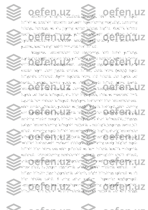 Leptospiroz   ko‘pgina   hududlarda   tarqalgan,   lekin   kasallikning   paydo
bo‘lishi   va   tarqalishi   leptospiro   tashuvchi   hayvonlarning   mavjudligi,   tuproqning
holatiga,   haroratga   va   shu   joyning   sanitar   holatiga   bog‘liq.   Kasallik   ko‘proq
pastlik,   balchiqlarda,   o‘rmonlarda,   ya’ni   qo‘zg‘atuvchi   uchun   sharoit   bo‘lgan
joylarda tarqaladi. SHuni ta’kidlash   kerakki, hayvonlar tabiiy holda leptospirozni
yuqtirsa, kasallik engil kechib immunitet hosil bo‘ladi.
Patogenez.   Leptospiralarni   itlar   organizmiga   kirib   borish   yo‘llariga
quyidagilar kiradi: oshqozon-ichak yo‘llarining shilliq pardalari, kamroq ko‘zning
shilliq   pardasi   va   shikastlangan   teri.   Leptospiralar   organizmga   tez   so‘rilib,   12
soatdan   keyin   ularni   jigarda   aniqlasa   bo‘ladi,   ularda   isitma   (varaja)   paydo
bo‘lgancha   to‘planadi.   Ayrim   paytlarda   isitma   oldi   holatida   ular   buyrak   usti
bezida,   buyrakda,   kamroq   yurak   va   o‘pkada   paydo   bo‘ladi.   isitma   davrida
leptospiralar   qonda   aniqlanadi   va   ularning   soni   nafaqat   jigarda,   balki   buyrak,
buyrak   usti   bezida   ko‘payadi,   shu   bilan   birga   yurak,   o‘pka   va   mezanteral   limfa
tugunida ham   nisbatan  ko‘payadi. Sarg‘ayma boshlanishi   bilan leptospiralar   asta-
sekin   qondan,   o‘pkadan,   yurakdan   va   jigardan   yo‘qola   boshlaydi,   lekin   ularning
soni   buyrakda   oshadi.   Isitma   davrida   leptospiroz   bilan   kasallanganning   qonida
qandning   miqdori   pasayib,   bilirubin   ko‘payadi.   Bu   shuni   ko‘rsatadiki,   jirhgarga
tushgan   leptospiralarning   ko‘payishi   natijasida   u   patologik   jarayonga   tezroq   jalb
etiladi. Isitmaning paydo bo‘lishi leptospiremiya biln bog‘liq, chunki leptospiralar
ko‘payishi   va   nobud   bo‘lishi   natijasida   ishlab   chiqarilgan   hosilalar   miyadagi
issiqlikni   boshqaruvchi   markazni   qitiqlaydi.   Kasallikning   asosiy   belgilari   paydo
bo‘lishi   bilan   isitma   asta-sekin   yo‘qoladi   va   kam   hollarda   kasallik   mobaynida
saqlanadi.   Eritrotsitlarning   parchalanishi   natijasida   gemoglobin   ajralib   chiqadi,
undan   retikuloendotelial   tizim   hujayralari   o‘tni   bo‘yovchi   moddadan   bilirudinni
sintez   qiladi,   bu   jarayon   organizmda   uzluksiz   kerakli   miqdorda   kechadi.   Hosil
bo‘lgan   bilirubin   jigar   hujayralarida   ushlanib,   to‘g‘ri   bilirubinga   aylanadi   va   o‘t
bilan   ichakka   tushdi.   SHuning   uchun   sog‘lom     hayvonlar   sarg‘aymaydi.
Leptospiroz   bilan   kasallangan   hayvonlar   jigarining   funksiyasini   buzilishi,
bilirubinni   ko‘p   ajralishi   va   to‘qimalarda   saqlanishi   natijasida   ular   sariq   rangga 