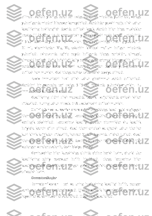 qilinadi.   Zardob   yoshiga   qarab   teri   ostiga   10-30   ml   miqdorda   yuboriladi,   venaga
yuborilganda miqdori 2 baravar kamaytiriladi. Zardobdan yaxshi natija olish uchun
kasallikning   boshlang‘ich   davrida   qo‘llash   kerak.   Zardob   bilan   birga   mushaklar
orasiga 10-15 ming TB da streptomitsin yuborish yaxshi natija beradi. Uni alohida
4-5 kun davomida yuborish ham mumkin. Vena qon tomiriga 40 % li glyukoza 10-
20   ml,   vitaminlardan   V
12 ,   V
6 ,   askorbin   kislotasi   ma’lum   bo‘lgan   miqdorda
yuboriladi.   oshqozonda   og‘riq   paydo   bo‘lganda   itlarga   ranitsidin,   almagel,
almatsid beriladi. Og‘iz bo‘shlig‘i kaliy permanganat eritmasi bilan yuvilib, shilliq
pardasiga   metrogil   denta   malhami   surtiladi,   bundan   tashqari   yod   glitserinni
qo‘llash ham mumkin. Kasl itlarga parhez oziqa berish tavsiya qilinadi.
Passiv   immunitetni   hosil   qilish   uchun   giperimmun   zardob   qo‘llaniladi.
Zardobni   bir   marotaba   teri   ostiga   5-15   ml   miqdorda   yuborish   mumkin.   Bu
immunitet 15 kun davom etadi.
Kasallikning   oldini   olish   maqsadida   itchilik     xo‘jaliklarida   emlash   ishlari
o‘tkaziladi. Buning uchun Biovak DPAL vaksinasini qo‘llash mumkin.
Oldini  olish va kurashish  choralari . Pitomniklarga kasal    yoki sog‘aygan
itlarn   kiritish   qat’iyan   man   etiladi.   Leptospirozga   shubhali   itlar   qonining   zardobi
serologik   tekshiriladi.   Leptospiroz   kasalligi   chiqqan   pitomniklar   shu   kasallik
bo‘yicha   krantin   e’lon   qilinadi.   Kasal   itlarni   aniqlash   va   ajratish   uchun   itlar   har
kuni klinik ko‘rikdan o‘tkazilib, harorati 20 kun davomida o‘lchab turiladi. Kasal
itlar  ajratilib  to  sog‘ayib  ketguncha  davolanadi,   qolgan  itlar  emlanadi.  Kasal  itlar
saqlangan xonalar tozalanib, dezinfeksiya qilinadi. 
Kemiruvchilar   bilan   kurashishga   alohida   e’tibor   berish   lozim,   chunki   ular
kasallikning   tabiiy   rezervuari   bo‘lib   hisoblnadi.   Itlarga   leptospiroz   bilan
kasallangan   q/x   hayvonlaridn   olingan   go‘sht   va   go‘sht   mahsulotlarini   berishni
to‘xtatish lozim.
Dermatomikozlar
Dermatomikozlar   –   teri   va   uning   hosilasining   kasalligi   bo‘lib,   patogen
zamburuq dermatomitsetlar chaqiradi. Qishloq xo‘jalik hayvonlari, itlar, mo‘ynali
hayvonlar va kemiruvchilar zararlanadi. Odam ham kasallanadi.  