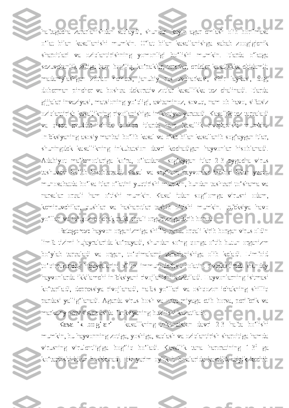 haftagacha   zararlanishdan   saqlaydi,   shundan   keyin   agar   emlash   olib   borilmasa
o‘lat   bilan   kasallanishi   mumkin.   O‘lat   bilan   kasallanishga   sabab   zoogigienik
sharoitlari   va   oziqlantirishning   yomonligi   bo‘lishi   mumkin.   Itlarda   o‘latga
sezuvchanlik   zotiga   ham   bog‘liq,   ko‘paklar,   tererlar,   erdeler   kasallikka   chidamli;
madaniylashgan   zotlar:   nemets,   janubiy   rus   ovcharkasi,   sibir   laykasi,   dog,
doberman   pincher   va   boshqa   dekorativ   zotlar   kasallikka   tez   chalinadi.   Itlarda
gijjalar   invaziyasi,   matsioning   yo‘qligi,   avitaminoz,   sovuq,   nam   ob-havo,   sifatsiz
oziqlantirish   kasallikning  rivojlanishiga  imkoniyat  yaratadi.  Kasallik   tez  tarqaladi
va   qisqa   muddat   ichida   boshqa   itlarda   ham   kasallik   rivojlanishi   mumkin.
Infeksiyaning asosiy manbai bo‘lib kasal va o‘lat bilan kasallanib sog‘aygan itlar,
shuningdek   kasallikning   inkubatsion   davri   kechadigan   hayvonlar   hisoblanadi.
Adabiyot   ma’lumotlariga   ko‘ra,   o‘latdan     sog‘aygan   itlar   2-3   oygacha   virus
tashuvchi   bo‘lib   hisoblanadi.   Kasal   va   sog‘lom   hayvonlar   bir-biri   bilan   yaqin
munosabatda bo‘lsa itlar o‘latini yuqtirishi mumkin, bundan tashqari to‘shama va
narsalar   orqali   ham   o‘tishi   mumkin.   Kasal   itdan   sog‘lomga   virusni   odam,
kemiruvchilar,   qushlar   va   hasharotlar   tashib   o‘tishi   mumkin.   Infeksiya   havo
yo‘llari va oshqozon-ichak trakt orqali organizmga kirib boradi.
Patogenez:  hayvon organizmiga shilliq parda orqali kirib borgan virus oldin
limfa   tizimi   hujayralarida   ko‘payadi,   shundan   so‘ng   qonga   o‘tib   butun   organizm
bo‘ylab   tarqaladi   va   organ,   to‘qimalarni   zararlanishiga   olib   keladi.   Limfoid
to‘qimalarning  hujayralarini   o‘limi   immunodefitsit   holatini   rivojlantiradi.   Bunday
hayvonlarda ikkilamchi infeksiyani rivojlanishi kuzatiladi. Hayvonlarning isitmasi
ko‘tariladi,   depressiya   rivojlanadi,   nafas   yo‘llari   va   oshqozon-ichakning   shilliq
pardasi   yallig‘lanadi.   Agarda   virus   bosh   va   orqa   miyaga   etib   borsa,   periferik   va
markaziy nerv sistemasida funksiyaning buzilishi kuzatiladi.
Kasallik   belgilari   –   kasallkning   inkubatsion   davri   2-3   hafta   bo‘lishi
mumkin, bu hayvonning zotiga, yoshiga, saqlash va oziqlantirish sharoitiga hamda
virusning   virulentligiga   bog‘liq   bo‘ladi.   Kasallik   tana   haroratining   1-3 0
  ga
ko‘tarilishi   bilan   boshlanadi.   Bir   yarim   oylik   it   bolalarida   kasallik   atipik   kechib 