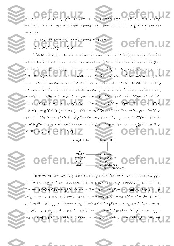 butunlikdir.   Masalan,   gap   so‘zlar   va   qo‘shimchalarga,   ular   esa   tovushlarga
bo‘linadi.   Shu   nuqtai   nazardan   lisoniy   birliklarni   avvalo,   ikki   guruhga   ajratish
mumkin:
a) tashkil etuvchi eng kichik lisoniy birliklar;
b) hosila lisoniy birliklar.
O‘zbek tilidagi fonemalar ma’lum bir butunlikni, bir sath (fonologik sathni) ni
tashkil  etadi. Bu sath esa  unlilar va undoshlar  tizimlaridan tashkil  topadi. Deylik,
unlilar   tizimi   yana   ikkig   -   lablanmagan   unlilar   ([ i ]-[ e ]-[ a ])   va   lablangan   unlilar
([ u ]-[ u ]-[ o ])   tizimchalaridan   tashkil   topgan.   Ko‘rinadiki,   tashkil   etuvchining   o‘zi
ham   tashkil   etuvchilardan   tashkil   topadi.   Demak,   tashkil   etuvchilik   nisbiy
tushunchadir. Bunda minimal tashkil etuvchigina boshqa bo‘laklarga bo‘linmasligi
mumkin. Minimal   tashkil   etuvchi   nafaqat   birliklarni,   shu   bilan   birgalikda,
birliklarning   o‘zaro   munosabatlarini   ham   o‘z   ichiga   oladi.   Shuni   ta’kidlash
lozimki, eng  kichik (minimal)   tashkil   etuvchilar   bo‘lgan  fonemalar  yana  ichki  va
tashqi     jihatlarga   ajraladi.   Aytilganlar   asosida,   lison,   nutq   birliklari   sifatida
quyidagilarni ajratamiz va lison va nutq birliklari ham lison va nutq kabi UMIS va
YHVO munosabatida bo‘ladi:
Fonema  va  tovush . Eng kichik lisoniy birlik fonemalardir. Fonema muayyan
til   egalarining   ma’lum   tovushlar   tipi   haqidagi   umumiy   tasavvurlaridir.   Har   bir
fonema so‘zlovchilar ongida o‘z tipini farqlovchi belgilari majmui asosida vujudga
kelgan   maxsus   «akustik-artikulyatsion   portret»   yoki   «tovushlar   obrazi»   sifatida
saqlanadi.   Muayyan   fonemaning   farqlovchi   belgilari   uning   artikulyatsion   va
akustik   xususiyatlari   asosida   shakllanadi.   Artikulyatsion   belgilar   muayyan
tovushlarni   talaffuz   qilish   uchun   nutq   a’zolarining   bir   xildagi   harakatga 