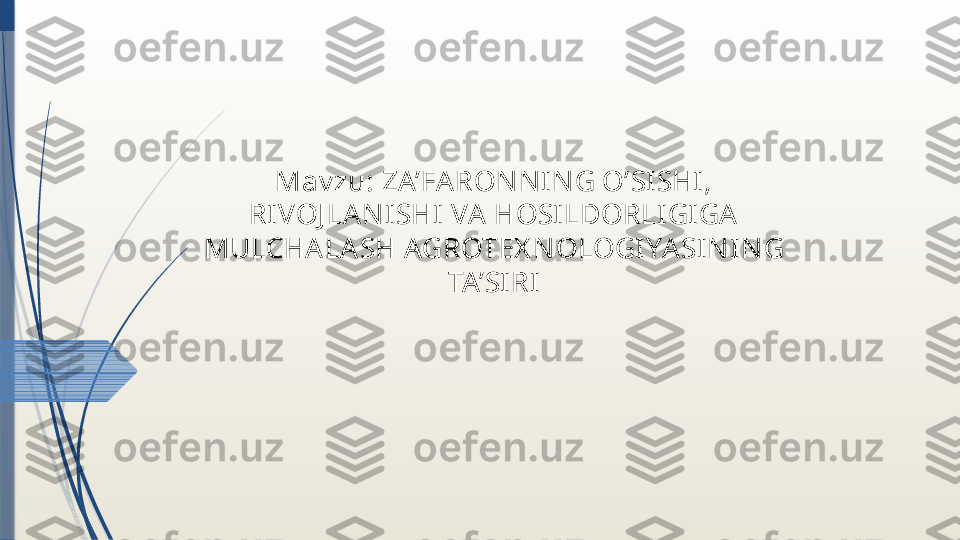 Mav zu: ZA’FARONNI NG O’SISHI , 
RIVOJ LANISHI  VA HOSILDORLIGIGA 
MULCHA LASH AGROTEX NOLOGIYA SINING 
TA’SIRI
               