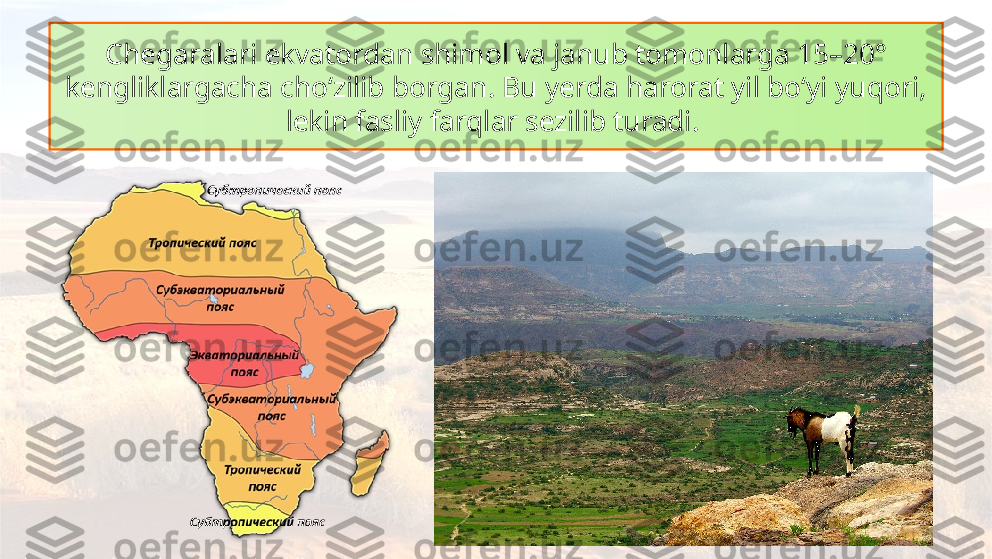 Chegaralari ekvatordan shimol va janub tomonlarga 15–20° 
kengliklargacha cho‘zilib borgan. Bu yerda harorat yil bo‘yi yuqori, 
lekin fasliy farqlar sezilib turadi.   