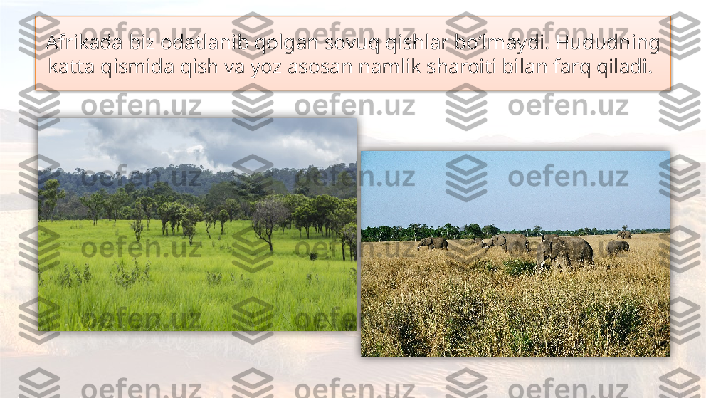 Afrikada biz odatlanib qolgan sovuq qishlar bo‘lmaydi. Hududning 
katta qismida qish va yoz asosan namlik sharoiti bilan farq qiladi.     