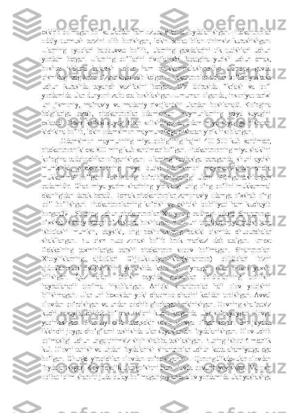 eskirib qolmagan bo’lsa ulardan ham ozuqa sifatida foydalanishgan. Pitekantroplar
oddiy   turmush   tarzini   olib   borishgan,   lekin   tabiat   bilan   tinimsiz   kurashishgan.
Ularning   oyoqlari   baqquvvat   bo’lib,   ularning   gavdalarini   tik   tutishlari   uchun
yordam   bergan.   Ularning   qo’llarini   rivojlanishi   faqatgina   yurish   uchun   emas,
boshqa   ishlarni   bajarish   uchun   ham   mukkammalashganligi   ularning   gavda
qismidagi eng katta o’zgarishga olib kelgan. Pitekantroplar uchun qo’llar yashash
uchun   kurashda   tayanch   vazifasini   bergan.   O’z   doirasida   fikrlash   va   qo’l
yordamida   ular   dunyoni   zabt   eta   boshlashgan.   Umuman   olganda,   insoniyat   tarixi
uni   jismoniy,   ma’naviy   va   madaniy   rivojlanishi   ulardan   boshlanadi.   Ko’pgina
belgilariga   qarab,   pitekantroplar   odamsimon   maymunlarning   miya   suyagini
eslatadi.   Odam   kallasi   suyagi   bilan   solishtirganda,   odam   miya   suyagiga   nisbatan
kichkina bo’lib, lekin odamsimon maymunnikiga nisbatan yirik hisoblangan. 
            Odamsimon   maymunning   miya   qobig’inig   hajmi   400-500   kub   santimetr,
pitekantropniki esa 800 ming kub santimetr bo’lgan. Pitekantropning miya shaklini
ko’pgina   tadqiotchilar   o’rganishgan.   Ularning   natijasiga   qaraganda   shuni   aytish
mumkinki,   pitekantropning   miya   qutisi   odamsimon   maymunnikidan   ancha
mukkammal   bo’lgan.   Peshonanig   bo’rtib   chiqqanligi   ularni   oldinga   tashlangan
qadamidir.   Chap   miya   yarim   sharining   yiriklaigi   unig   o’ng   qo’lini   mukkammal
ekanligidan darak beradi. Demak pitekantroplar zamonaviy odamga o’xshab o’ng
qo’l   bo’lishgan.   Pitekantroplarning   ko’rish   va   eshitish   qobiliyati   ham   kuchayib
borgan29   .   Shuning   uchun   pitekantroplar   Xitoyning   qadimgi   odami   Sinantropga
o’xshab   insoniy   nutqni   o’zlashtira   boshlagan.   Buni   uni   topilgan   miya   qutisi   ham
isbotlashi   mumkin,   qaysiki,   ong   peshonasining   pastki   qismida   chuqurchalar
shakllangan.   Bu   qism   nutq   zonasi   bo’lib   brok   markazi   deb   atalgan.   Ernest
Gekkelning   taxminlariga   qarshi   pitekantrop   soqov   bo’lmagan.   Sinantroplar-
Xitoyliklarning   ajdodlari   Chjoukoudyanliklar(sinantrop)   qoldiqlari   bizni
ajdodlarimzni   rivojlanishini   yoritishda   katta   rol   o’ynagan.   Ular   olovni   yaxshi
bilishgan.   Qazilmalarni   topish   paytida   gulxanlar   qoldiqlarining   topilishi
hayratlanarli   topilma   hisoblangan.   Aniqki   sinantroplar   hali   olov   yoqishni
bilishmagan.   Ular   uni   bexosdan   yoki   chaqmoq   chaqini   ketidan   topishgan.   Avval
olovdan qo’rqishgan va undan qochib g’orlarga berkinishgan. Oovning shafqatsiz
kuchi   pasayib,   chidab   bo’lmas   issiqni   kuchi   ketganda   ular   so’nayoygan   olovga
yaqinlashgan.   Shunday   qilib   ular,sekin-sekin   olovga   o’rganishgan.   Bir   joydan
ikkinchi joyga cho’g’larni tashishda  ular suyaklardan foydalanishgan. Olov uchib
qolmasligi  uchun unga tinimsiz shoh shabba tashlashgan.  Buning isboti 6 metrlik
kul. Olovni  tanish va undan foydalanish  sinantroplar  uchun  katta ahamiyatga ega
bo’lgan.   Chunki   yirtqichlar   olovdan   qo’rqishgan30   .   Qorongúlikda   ular   olovdan
foydalanishgan. Keyinchalik ular go’shtni ham olovda qovurib yeyishgan. Va oxir
oqibat iqlim sharoiti juda qulay bo’lmagan joylarda olov yordamida ular yashashga 