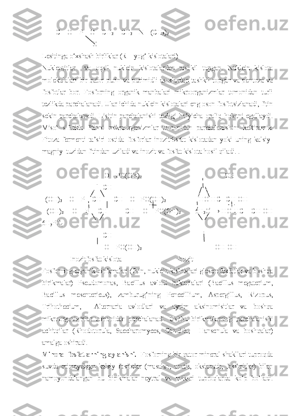         C – O – P – O – CH
2   – CH
2  – N – (CH
3 )
3   
                             O
Lesitinga o‘xshash birliklar ( R –  yog‘ kislotalari)
Nukleotitlar     va   oqsil   nuklein   kislotalardan   tashkil   topgan.   Nuklein   kislota
molekulalari  bir qator purin va purimidli  asoslardan  tashkil  topgan va pentoza va
fosfotlar   bor.   Fosforning   organik   manbalari   mikroorganizmlar   tomonidan   turli
tezlikda parchalanadi. Ular ichida nuklein kislotalari eng oson fosfotsizlanadi, fitin
sekin   parchalanadi.   Lisitin   parchalanishi   tezligi   bo‘yicha   oraliq   holatni   egallaydi.
Misol   sifatida   fitinni   mikroorganizmlar   tomonidan   parchalanishini   keltiramiz.
Fitoza   fermenti   ta’siri   ostida   fosforlar   inozitfosfat   kislotadan   yoki   uning   kalsiy-
magniy  tuzidan fitindan uziladi va inozit va fosfat kislota hosil qiladi. .
                                    O – PO(OH)
2                                                 OH
                                   CH                                                                      
  (OH)
2  – O – P – CH       CH – O - PO(OH)
2                         HO-HC   CH-OH
    (OH)
2   –   O  –   P  –   CH               CH   –  O   -   PO(OH)
2             6 H
2 O
  →   HO-HC       CH-OH
6H
3 PO
4
                                   CH                                        
                                    O – PO(OH)
2                                                             OH-OH
                 Inozitfosfat kislota                                 Inozit
Fosforning organik birikmalari (fitin, nuklein kislotalari gleserofosfatlar va boshqa
birikmalar)   Pseudomonas,   Bacillus   avlodi   bakterialari   (Bacillus   megaterium,
Bacillus   mesentericus),   zamburug‘ning   Penccillium,   Aspergillus,   Rizopus,
Trihothecium,     Alternaria   avlodlari   va   ayrim   aksinomisitlar   va   boshqa
mikroorganizmlar   tomonidan   parchalanadi.   Ushbu   birikmalarning   parchalanishi
achitqilar   (Rhodotorula,   Saccharomyces,   Candida,     Hansenula   va   boshqalar)
amalga oshiradi.
Mineral fosfatlarning aylanishi.     Fosforning bir qator mineral shakllari tuproqda
suvda   erimaydigan   kalsiy   fosfotlar   (masalan,   apatit,   oksiapatit,   fosforitlar)   bilan
namoyondalangan   bu   birikmalar   neytral   va   mikori   tuproqlarda   ko‘p   bo‘ladi. 