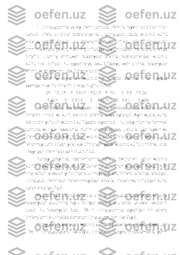 1.   Oltingugurtning   asosiy   qismi   tuproqqa   o‘simlik   hayvon   qoldiqlari   bilan
tushadi.   O‘sha   qoldiqlar   parchalanganda   ,   oltingugurt   odatda   vodorod   sulfid
shaklida   ajralib   chiqadi.   Bu   birikmaning   hosil   bo‘lishi,   tarkibi   oltingugurtli
amminokislotalar (sistin, metionin) bo‘ladigan oqsil moddalarning parchalanishiga
bo‘g‘liq.   Ularning   chirituvchi   bakteriyalar   ta’sirida   parchalanishdash   vodorod
sulfid   hosil   bo‘ladi.   Bu   qaytarilishga   desulfafikasiyalovchi   alohida   bakteriyalar
Vibrio  va Sporovibrio  desufuricans lar dir.
Sulfatlarning   qaytarilish   vadorodning   sulfatlar   kislorodi   bilan   quydagi
sxemaga muvofiq biriktirib olishga bog‘liq bo‘lidi.
C6 H12  O6 + 3H2 SO4 = 6CO2 + 6H2O +  3H2 S + 42 Cal
H2 SO4 +H2  H2 SO3 + H2  H2 SO2 + H2 H2 SO + H2 H2S
Har   bir   davrda   oksidlanayotgan   organik   moddadan   ikkita   vadorod   atomi
biriktirib   olinadi   va   sulfit   kislorodi   ta’sirida   suvga   aylanadi.   Ayni   vaqtda   sulfat
kislorodini yo‘qotib vadorod sulfidgacha qaytariladi.   Bu jarayonlarning hammasi
tuproqda   va     suv   havzalarida   muhim   ahamiyatga   ega   ,   chunki   ular   hayvon   va
o‘simliklar   uchun   zaharli   bo‘lgan   vadorod   sulfid   to‘planishga   olib   keladi.   Uzoq
ishlanmay   turib   qolgan   yoki   suv   to‘plangan   yerda   vadorod   sulfid   to‘plansa   unda
o‘sayotgan o‘simliklar tez nobud bo‘ladi.
Bunday   jarayonda   organizmlarning   bemalol   rivojlanishi   uchun   vadorod
sulfidiningsulfat   kislotagacha   oksidlanishi   muhim   ahamiyatga   ega.   Bunda     N2S
ning   zaharli   xossalari   yo‘qolibgina   qolmay,balki   shu   birikma   tarkibiga   kiradigan
oltingugurt   o‘simliklar   o‘zlashtirmaydigan   shaklda   o‘zlashtirsa   bo‘ladigan   sulfat
tuzlari shakliga o‘tadi.
Vadorod   sulfid   tabiat   sharoitida   alohida   oltingugurt   bakteriyalari   va   tabiy
bakteriyalari   guruhining   hayot   faoliyati   ta’sirida   shu   tariqa   uzluksiz   oksidlanib
turadi.   Bu   bakteriyalar   faqat   H2S   ni   oltingugurtning   qaytarilgan   bir   qancha
birikmalarini shuningdek elementar oltingugurtni ham oksidlaydi.
Oltingugurt bakteriyalari vadorod sulfidi ikki davrda oksidlaydi. Avval ular
H2S   ni   oltingugurtgacha   oksidlaydi,   oltingugurt   hujayra   protaklazmasida   yarim 