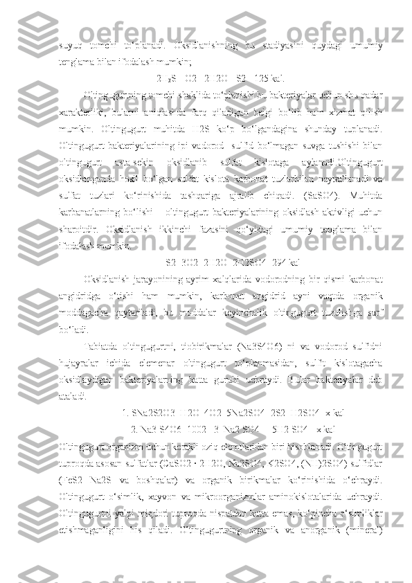 suyuq   tomchi   to‘planadi.   Oksidlanishning   bu   stadiyasini   quydagi   umumiy
tenglama bilan ifodalash mumkin;
2H
2 S+ O2= 2H2O+ S2 +125 k a l.
Oltingugurtning tomchi shaklida to‘planishi bu bakteriyalar uchun shu qadar
xarakterliki,   bularni   aniqlashda   farq   qiladigan   belgi   bo‘lib   ham   xizmat   qilish
mumkin.   Oltingugurt   muhitda   H2S   ko‘p   bo‘lgandagina   shunday   tuplanadi.
Oltingugurt   bakteriyalarining   ipi   vadorod     sulfid   bo‘lmagan   suvga   tushishi   bilan
oltingugurt   asta-sekin   oksidlanib   sulfat   kislotaga   aylanadi.Oltingugurt
oksidlanganda   hosil   bo‘lgan   sulfat   kislota   karbonat   tuzlarbilan   neytrallanadi   va
sulfat   tuzlari   ko‘rinishida   tashqariga   ajralib   chiqadi.   (SaSO4).   Muhitda
karbanatlarning   bo‘lishi   –   oltingugurt   bakteriyalarining   oksidlash   aktivligi   uchun
sharoitdir.   Oksidlanish   ikkinchi   fazasini   qo‘yidagi   umumiy   tenglama   bilan
ifodalash mumkin.
S2+3O2+2H2O=2H2SO4+294 kal
Oksidlanish   jarayonining   ayrim   xalqlarida   vodorodning   bir   qismi   karbonat
angidridga   o‘tishi   ham   mumkin,   karbonat   angidrid   ayni   vaqtda   organik
moddagacha   qaytariladi,   bu   moddalar   keyinchalik   oltingugurt   tuzulishga   sarf
bo‘ladi.
Tabiatda   oltingugurtni,   tiobirikmalar   (Na3S4O6)   ni   va   vodorod   sulfidni
hujayralar   ichida   elemenar   oltingugurt   to‘planmasidan,   sulfit   kislotagacha
oksidlaydigan   bakteriyalarning   katta   guruhi   uchraydi.   Bular   bakteriyalar   deb
ataladi.
1. SNa2S2O3+H2O+4O2=5Na2SO4+2S2+H2SO4+x kal
2. Na3 S4O6+1002= 3  Na2 SO4 +  5H2 SO4+ x kal
Oltingugurt organizm uchun kerakli oziq elemtlaridan biri hisoblanadi. Oltingugurt
tuproqda asosan sulfatlar (CaSO2 · 2H2O, Na2SO4, K2SO4, (NH)2SO4) sulfidlar
(FeS2   Na2S   va   boshqalar)   va   organik   birikmalar   ko‘rinishida   o‘chraydi.
Oltingugurt   o‘simlik,   xayvon   va   mikroorganizmlar   aminokislotalarida   uchraydi.
Oltingugurtni  yalpi miqdori  tuproqda nispatdan katta emas, ko‘pincha o‘simliklar
etishmaganligini   his   qiladi.   Oltingugurtning   organik   va   anorganik   (mineral) 