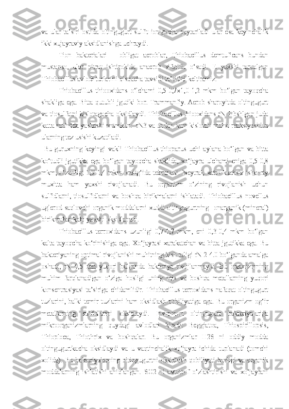 va   ular   ta’siri   ostida   oltingugurt   sulfit   ionigacha   qaytariladi   ular   esa   keyinchalik
ikki xujayraviy aksidlanishga uchraydi. 
Tion   bakterialari   –   obligat   aeroblar,   Thiobacillus   demtuficans   bundan
mustanso,   ular   nitrat   ishtirokida   anaerob   sifatida   o‘sadi.   E   yaxshi   tarqalgan
Thiobacillus avlodi turlarini qisqacha tavsifli ta’rifini keltiramiz:
Thiobacillus   thiooxidans   o‘lchami   0,5-0,7x1,0-1,2   mkm   bo‘lgan   tayoqcha
shakliga ega. Bitta qutubli jgutiki bor. Trammanfiy. Aerob sharoyitda oltingugurt
va tiosulfatni kislotagacha oksidlaydi. Thiobacillus thiooxidans rN 1 bshlgan juda
katta muhitda yashashi mumkun.  rN3 va undan kam kislotali muhit reaksiyasidan
ularning tez usishi kuzatiladi.
  Bu   guruxning   keyingi   vakli   Thiobacillus   thioparus   uchi   aylana   bo‘lgan   va   bitta
ko‘tudli   jgutikka   ega   bo‘lgan   tayoqcha   shaklida,   xo‘jayra   ulchami   eniga   0,5-0,8
mkm, o‘zunligi  0,9-1,4 mkm  oralig‘ida tebranadi.  Neytral,  xatto kuchsiz ishqoriy
muxitta   ham   yaxshi   rivojlanadi.   Bu   organizm   o‘zining   rivojlanish   uchun
sulfidlarni,   tiosulfidlarni   va   boshqa   birikmalarni   ishlatadi.   Thiobacillus   novellus
uglerod saqlovchi  organik moddalarni xuddi oltingugurtning   onarganik (mineral)
birikmalari kabi yaxshi oksidlanadi.
Thiobacillus   terroxidans   uzunligi   0,7-1,7   mkm,   eni   0,3-0,4   mkm   bo‘lgan
kalta tayoqcha ko‘rinishiga  ega. Xo‘jayrasi  xarakatchan  va bitta  jgutikka  ega. Bu
bakteriyaning optimal rivojlanishi muhitning kislotaligi rN 2-4.0 bo‘lganda amalga
oshadi,   rN   4,5   dan   yuqori   bulganda   bakteriya   rivojlanmaydi.   Bu   organizmning
muhim   farqlanadigan   o‘ziga   hosligi   uning   mis   va   boshqa   metallarning   yuqori
konsentrasiyasi   ta’siriga   chidamlidir.   Thiobacillus   terroxidans   nafaqat   oltingugurt
tuzlarini,  balki  temir   tuzlarini  ham   oksidlash   qobiliyatiga  ega.   Bu  organizm   og‘ir
metallarning   sulfidlarini   oksidlaydi.   Ipsimmon   oltingugurt   bakteriyalariga
mikroorganizmlarning   quydagi   avlodlari   kiradi:   Beggiatoa,   Thiospirillopsis,
Thioploca,   Thiothrix   va   boshqalar.   Bu   organizmlar   H2S   ni   oddiy   modda
oltingugurtkacha   oksidlaydi   va   u   vaqtinchalik   xo‘jayra   ichida   tuplanadi   (tomchi
xolida).   Bu   bakteriyalarning   oltingugurtni   oksidlash   qobiliyati   borligi   va   organik
moddalarning   ishlatishi   aniqlangan.   SO2   ni   avtotrof   o‘zlashtirishi   va   xo‘jayrani 