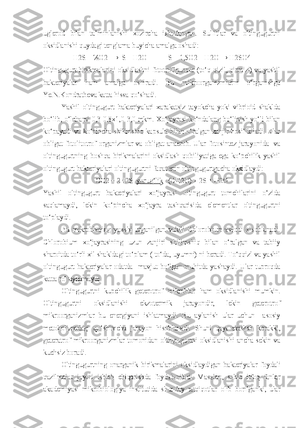 uglerod   bilan   ta’minlanishi   xozircha   isbotlangan.   Sulfitlar   va   oltingugurtni
oksidlanishi quydagi tenglama buyicha amalga oshadi:
H2S + ½O2  →  S + H2O            S + 1,5O2 + H2O → H2SO4
Oltingugurt birikmalarini oksidlashni fototrof purpur (to‘q-qizil, qirmizi) va yashil
bakteriyalar   ham   amalga   oshiradi.   Bu   mikroorganizmlarni   o‘rganishga
Ye.N.Kondratbeva katta hissa qo‘shadi.
Yashil   oltingugurt   bakteriyalari   xarakatsiz   tayokcha   yoki   vibrioid   shaklda
bo‘lib, o‘lchami 0,3-0,8x1,0-3,0 mkm. Xo‘jayrasi ko‘ndalang bo‘linish yo‘li bilan
ko‘payadi  va ko‘pincha shilimshiq kapsula bilan o‘ralgan zanjir hosil kiladi. Ular
obligat fotolitotrof organizmlar va obligat  anaerob. Ular fotosintez jarayonida   va
oltingugurtning   boshqa   birikmalarini   oksidlash   qobiliyatiga   ega   ko‘pchilik   yashil
oltingugurt bakteriyalari oltingugurtni faqat erin oltingugurtgacha oksidlaydi: 
CO2 + 2H2S   yorug‘lik      (CH2O) + 2S + H2O
Yashil   oltingugurt   bakteriyalari   xo‘jayrasi   oltingugurt   tomchilarini   o‘zida
saqlamaydi,   lekin   ko‘pincha   xo‘jayra   tashqarisida   elementlar   oltingugurtni
to‘playdi.
Bu   mikroblaning   yaxshi   urganilgan   vakili   Chlorobium   avlodi   xisoblanadi.
Chlorobium   xo‘jayrasining   uzun   zanjiri   shilimshiq   bilan   o‘ralgan   va   tabiiy
sharoitda to‘rli xil shakldagi to‘plam ( to‘da, uyumni) ni beradi. To‘qqizl va yashil
oltingugurt   bakteriyalar   odatda     mavjut   bo‘lgan   muhitda   yashaydi.   Ular   tuproqda
katta rol uynamaydi.
Oltingugurtni   kupchilik   geterotrof   mikroblar   ham   oksidlanishi   mumkin.
Oltingugurtni   oksidlanishi   ekzotermik   jarayondir,   lekin   geterotrof
mikroorganizmlar   bu   energiyani   ishlatmaydi.   Bu   aylanish   ular   uchun     asosiy
metobolizmdagi   qo‘shimcha   jarayon   hisoblanadi.   Shuni   qayt   etashsh   kerakki,
geteratrof   mikroorganizmlar   tomonidan   oltingugurtni   oksidlanishi   ancha   sekin   va
kuchsiz boradi.
Oltingugurtning   onarganik   birikmalarini   oksidlaydigan   bakteriyalar   foydali
qazilmalar   joyini   ishlab   chiqarishda   foydalaniladi.   Masalan,   sobiq   itfoq   fanlar
akademiyasi   mikrobiologiya   institutida   shunday   tatqiqotlar   olib   borilganki,   ular 