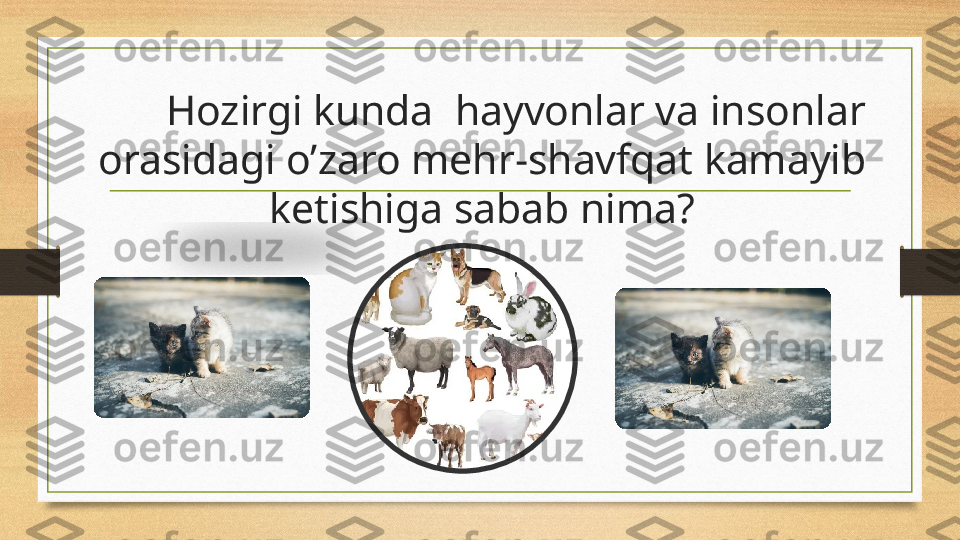   Hozirgi kunda  hayvonlar va insonlar 
orasidagi o’zaro mehr-shavfqat kamayib 
ketishiga sabab nima?  