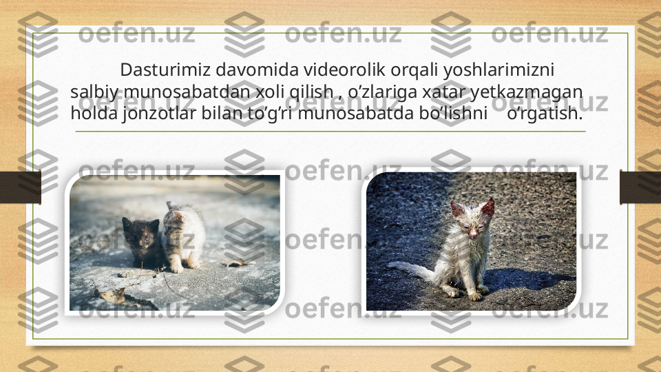 Dasturimiz davomida videorolik orqali yoshlarimizni 
salbiy munosabatdan xoli qilish , o’zlariga xatar yetkazmagan 
holda jonzotlar bilan to’g’ri munosabatda bo’lishni    o’rgatish.   