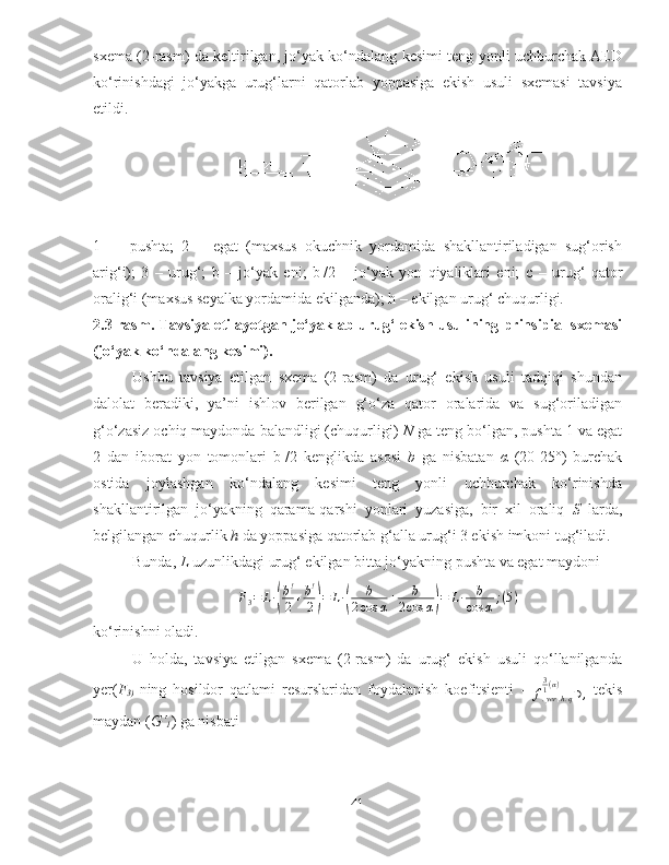 sxema (2-rasm) da keltirilgan, jo‘yak ko‘ndalang kesimi teng yonli uchburchak AED
ko‘rinishdagi   jo‘yakga   urug‘larni   qatorlab   yoppasiga   ekish   usuli   sxemasi   tavsiya
etildi.
1   -     pushta;   2   –   egat   (maxsus   okuchnik   yordamida   shakllantiriladigan   sug‘orish
arig‘i);   3   –   urug‘;   b   –   jo‘yak   eni;   b I
/2   –   jo‘yak   yon   qiyaliklari   eni;   c   –   urug‘   qator
oralig‘i (maxsus seyalka yordamida ekilganda);  h  – ekilgan urug‘ chuqurligi.
2.3-rasm. Tavsiya etilayotgan jo‘yaklab urug‘ ekish usulining prinsipial sxemasi
(jo‘yak ko‘ndalang kesimi).
Ushbu   tavsiya   etilgan   sxema   (2-rasm)   da   urug‘   ekish   usuli   tadqiqi   shundan
dalolat   beradiki,   ya’ni   ishlov   berilgan   g‘o‘za   qator   oralarida   va   sug‘oriladigan
g‘o‘zasiz ochiq maydonda balandligi (chuqurligi)  N  ga teng bo‘lgan, pushta 1 va egat
2   dan   iborat   yon   tomonlari   b 1
/2   kenglikda   asosi   b   g a   nisbatan   α   (20-25°)   burchak
ostida   joylashgan   ko‘ndalang   kesimi   teng   yonli   uchburchak   ko‘rinishda
shakllantirilgan   jo‘yakning   qarama-qarshi   yonlari   yuzasiga,   bir   xil   oraliq   S   larda,
belgilangan chuqurlik  h  da yoppasiga qatorlab g‘alla urug‘i 3 ekish imkoni tug‘iladi. 
Bunda,  L  uzunlikdagi urug‘ ekilgan bitta jo‘yakning pushta va egat maydoniF3=	L∙(
b!
2+b!
2)=	L∙(	
b	
2cos	α+	b	
2cos	α)=	L∙	b
cos	α;(5)
ko‘rinishni oladi. 
U   holda,   tavsiya   etilgan   sxema   (2-rasm)   da   urug‘   ekish   usuli   qo‘llanilganda
yer( F
3)   ning   hosildor   qatlami   resurslaridan   foydalanish   koefitsienti   -  
f
. yer . h . q3
1 ( α )
∋ ,   tekis
maydan ( G‘
1 ) ga nisbati
41 