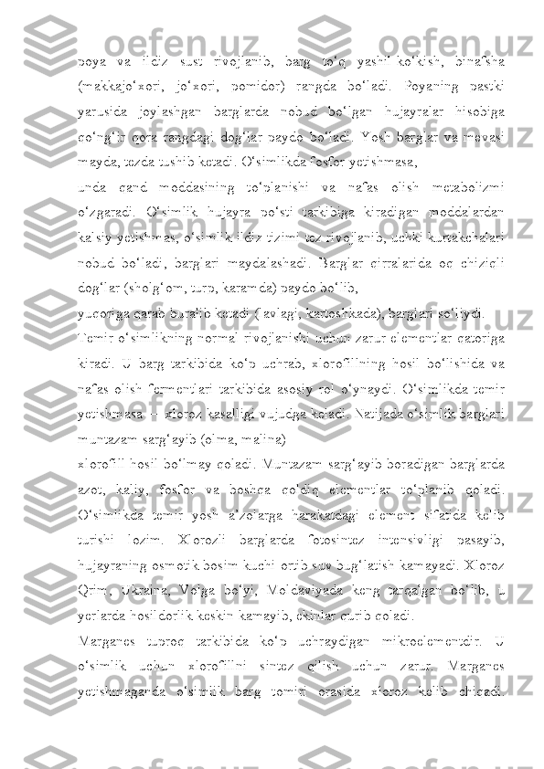 poya   va   ildiz   sust   rivojlanib,   barg   to‘q   yashil-ko‘kish,   binafsha
(makkajo‘xori,   jo‘xori,   pomidor)   rangda   bo‘ladi.   Poyaning   pastki
yarusida   joylashgan   barglarda   nobud   bo‘lgan   hujayralar   hisobiga
qo‘ng‘ir   qora   rangdagi   dog‘lar   paydo   bo‘ladi.   Yosh   barglar   va   mevasi
mayda, tezda tushib ketadi. O‘simlikda fosfor yetishmasa,
unda   qand   moddasining   to‘planishi   va   nafas   olish   metabolizmi
o‘zgaradi.   O‘simlik   hujayra   po‘sti   tarkibiga   kiradigan   moddalardan
kalsiy yetishmas, o‘simlik ildiz tizimi tez rivojlanib, uchki kurtakchalari
nobud   bo‘ladi,   barglari   maydalashadi.   Barglar   qirralarida   oq   chiziqli
dog‘lar (sholg‘om, turp, karamda) paydo bo‘lib,
yuqoriga qarab buralib ketadi (lavlagi, kartoshkada), barglari so‘liydi.
Temir o‘simlikning normal rivojlanishi uchun zarur elementlar qatoriga
kiradi.   U   barg   tarkibida   ko‘p   uchrab,   xlorofillning   hosil   bo‘lishida   va
nafas   olish   fermentlari   tarkibida   asosiy   rol   o‘ynaydi.   O‘simlikda   temir
yetishmasa — xloroz kasalligi vujudga keladi. Natijada o‘simlik barglari
muntazam sarg‘ayib (olma, malina)
xlorofill hosil bo‘lmay qoladi. Muntazam sarg‘ayib boradigan barglarda
azot,   kaliy,   fosfor   va   boshqa   qoldiq   elementlar   to‘planib   qoladi.
O‘simlikda   temir   yosh   a’zolarga   harakatdagi   element   sifatida   kelib
turishi   lozim.   Xlorozli   barglarda   fotosintez   intensivligi   pasayib,
hujayraning osmotik bosim kuchi ortib suv bug‘latish kamayadi. Xloroz
Qrim,   Ukraina,   Volga   bo‘yi,   Moldaviyada   keng   tarqalgan   bo‘lib,   u
yerlarda hosildorlik keskin kamayib, ekinlar qurib qoladi.
Marganes   tuproq   tarkibida   ko‘p   uchraydigan   mikroelementdir.   U
o‘simlik   uchun   xlorofillni   sintez   qilish   uchun   zarur.   Marganes
yetishmaganda   o‘simlik   barg   tomiri   orasida   xloroz   kelib   chiqadi. 