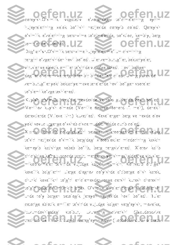 qorayish.O‘simlik   vegetativ   a’zolaridagi   to‘qimalarning   ayrim
hujayralarining   xalok   bo‘lishi   natijasida   qorayib   qoladi.   Qorayish
o‘simlik   a’zolarining   parenxima   to‘qimalarida,   po‘stloq,   kambiy,   barg
tomirlarida kuzatiladi.
Dog‘lanish. O‘simlik parenxima hujayralari ma’lum qismining
rangini o‘zgarishidan hosil bo‘ladi. Ular zamburug‘lar, bakteriyalar,
viruslar va abiotik omillar ta’sirida vujudga keladi. Hosil bo‘lgan
dog‘lar o‘lchami va rangi bilan bir-biridan farq qiladi. Uning yuzasida
zamburug‘lar yoki bakteriya meva tanalarida hosil bo‘lgan sporalar
to‘plami ko‘zga tashlanadi.
Kuyish   o‘simlik   bargida ,   navdasida   va   to‘p   gullarida   hosil   bo‘ladi.
Monilioz   kuyish   olmada   (Monilia   cinerea   Bonord   .f.   mali),   danakli
daraxtlarda   (M.laxa   Ehr.)   kuzatiladi.   Kasallangan   barg   va   navda   olov
yoki sovuq urganga o‘xshab qisqa muddat ichida qurib qoladi.
Xloroz —kasallik   qo‘zg‘atuvchi   patogen   mikroorganizmlarning   salbiy
ta’siri   natijasida   o‘simlik   bargidagi   xloroplastlar   miqdorining   keskin
kamayib   ketishiga   sabab   bo‘lib,   barg   rangsizlanadi.   Xloroz   kelib
chiqishiga ko‘ra tuproqda temir, marganes yetishmasligidan va viruslar,
mikoplazmalar   ta’sirida   vujudga   kelishi   mumkin.   Ko‘rsatib   o‘tilgan
kasallik   belgilarini   ularga   diagnoz   qo‘yishda   e’tiborga   olish   kerak,
chunki   kasallikni   to‘g‘ri   aniqlamasdan   unga   qarshi   kurash   chorasini
to‘g‘ri   belgilash   mumkin   emas.   O‘simlik   a’zolari   rangining   o‘zgarishi
unda   ro‘y   bergan   patologik   jarayon   natijasida   hosil   bo‘ladi.   Bular
qatoriga   abiotik   omillar   ta’sirida   vujudga   kelgan   sarg‘ayish,   mozaika,
ituzumdoshlardagi   stolbur,   uzumning   qizarishi   (Pseudopeziza
tracheiphila   Mull.Thurg.),   qarag‘ay   ilotesi   (Lophodermium   pinastri 