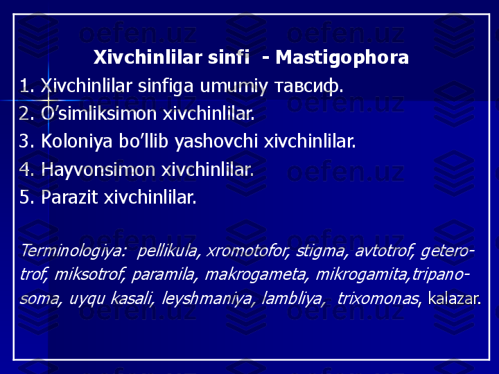 Xivchinlilar	sinfi	-	Mastigophora	
1. 	Xivchinlilar	sinfiga	umumiy	тавсиф	.	
2. 	O’simliksimon xivchinlilar.	
3. 	Koloni	y	a	bo’llib	yashovchi	xivchinlilar.	
4. 	Hayvonsimon	xivchinlilar	.	
5. 	Parazit	xivchinlilar	.	
Terminologiya: 	p	ellikula, xromotofor, 	stigma,	avtotrof,	getero	-	
trof, miksotrof,	paramila	, 	makrogameta	, 	mikrogamita,tripano	-	
soma, 	uyqu	kasali	, 	leyshmaniya	, 	lambliya	,  	trixomonas	,	kalazar	. 