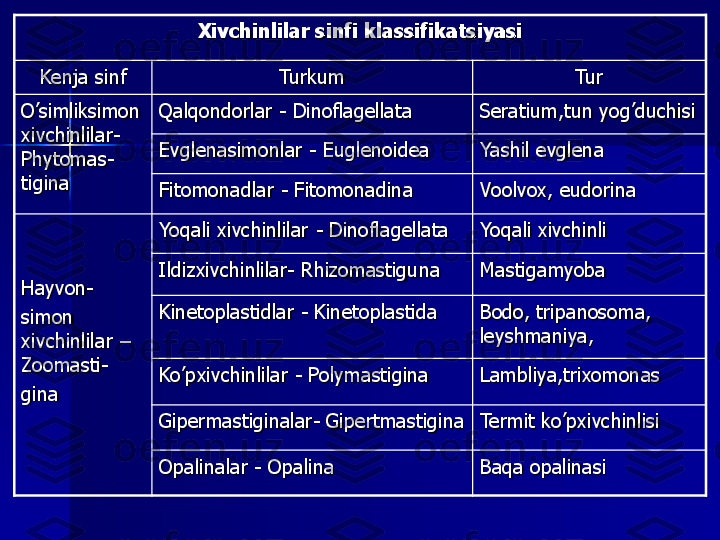 Xivchinlilar sinfi klassifikatsiyasi	
Kenja sinf	Turkum	Tur	
O’simliksimon 
xivchinlilar	-	
Phytomas	-	
tigina	
Qalqondorlar 	-	Dinoflagellata	Seratium,tun yog’duchisi	
Evglenasimonlar 	-	Euglenoidea 	Yashil evglena	
Fitomonadlar 	-	Fitomonadina	Voolvox, eudorina	
Hayvon	-	
simon 
xivchinlilar 	–	
Zoomasti	-	
gina	
Yoqali xivchinlilar 	-	Dinoflagellata   	Yoqali xivchinli	
Ildizxivchinlilar	-	Rhizomastiguna 	Mastigamyoba	
Kinetoplastidlar 	-	Kinetoplastida	Bodo, tripanosoma, 
leyshmaniya, 	
Ko’pxivchinlilar 	-	Polymastigina	Lambliya,trixomonas	
Gipermastiginalar	-	Gipertmastigina	Termit ko’pxivchinlisi	
Opalinalar 	-	Opalina	Baqa opalinasi 